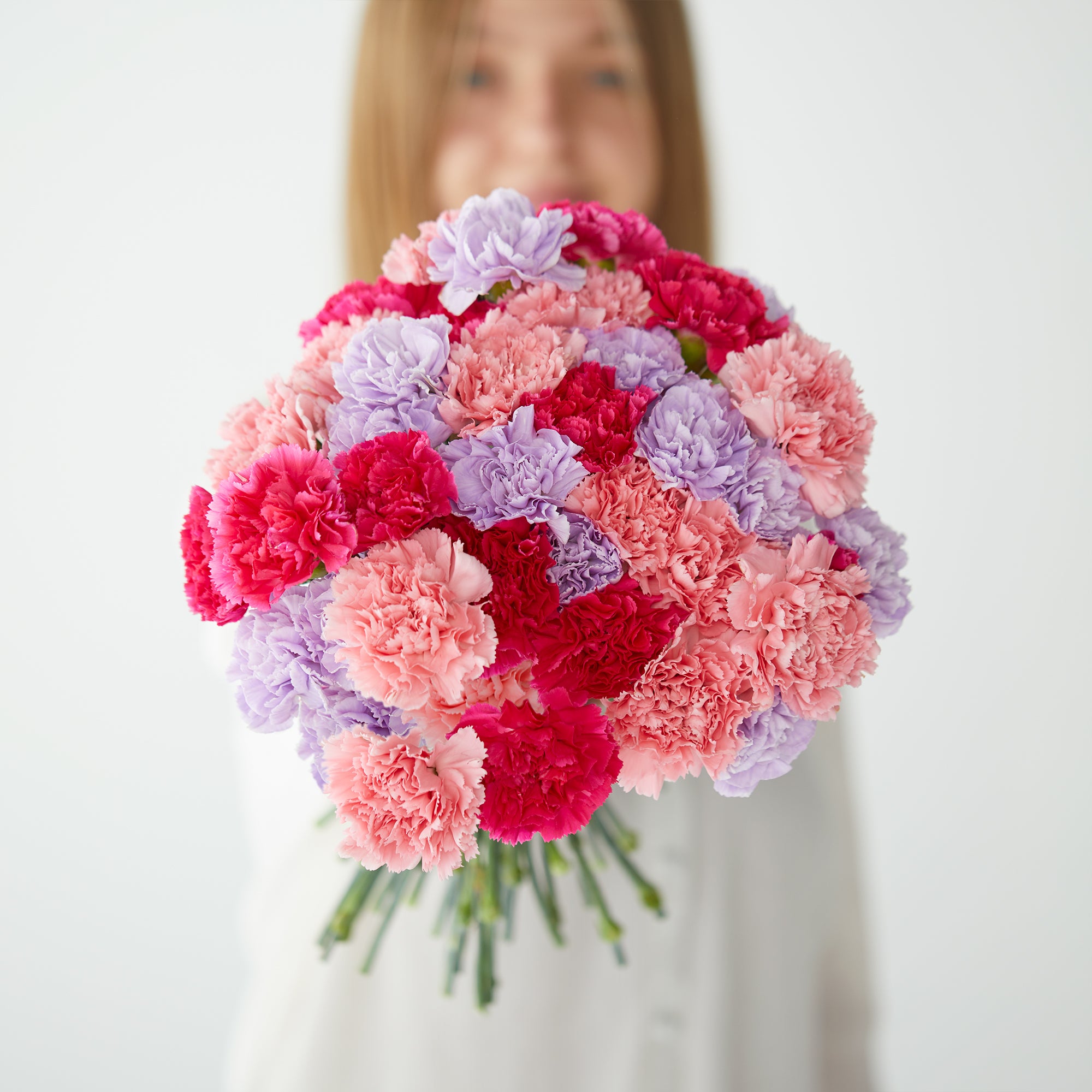 Mixed Carnations