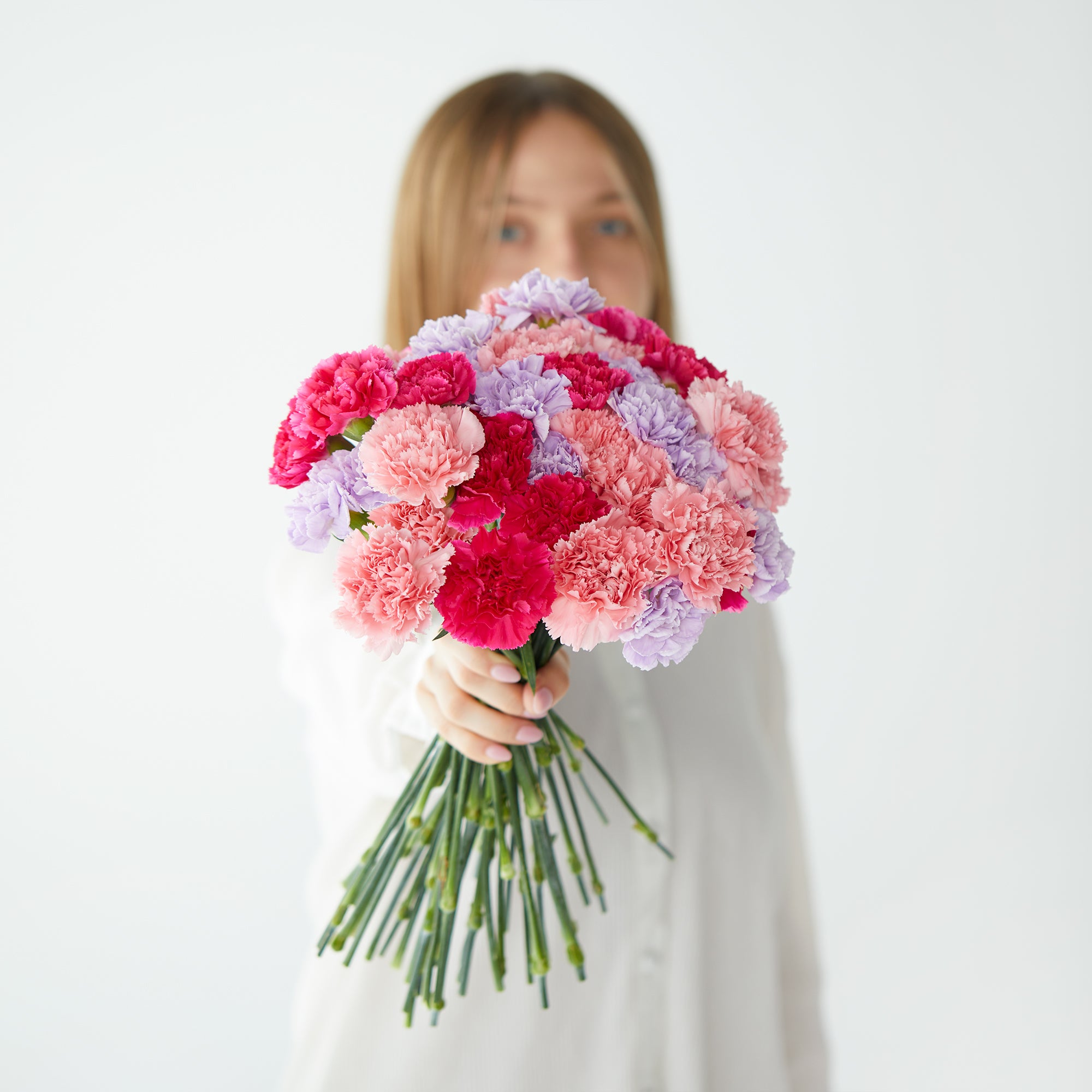 Mixed Carnations