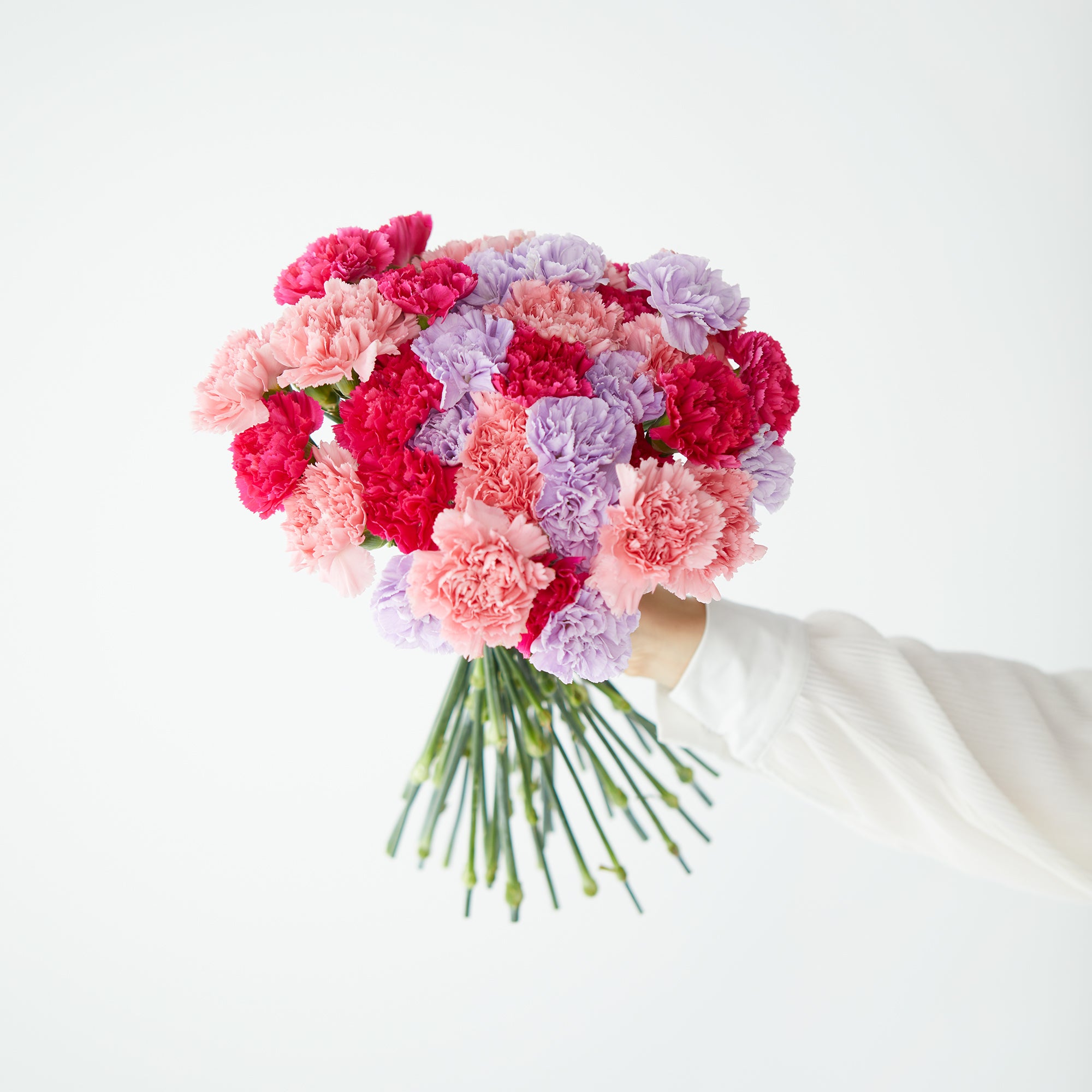 Mixed Carnations
