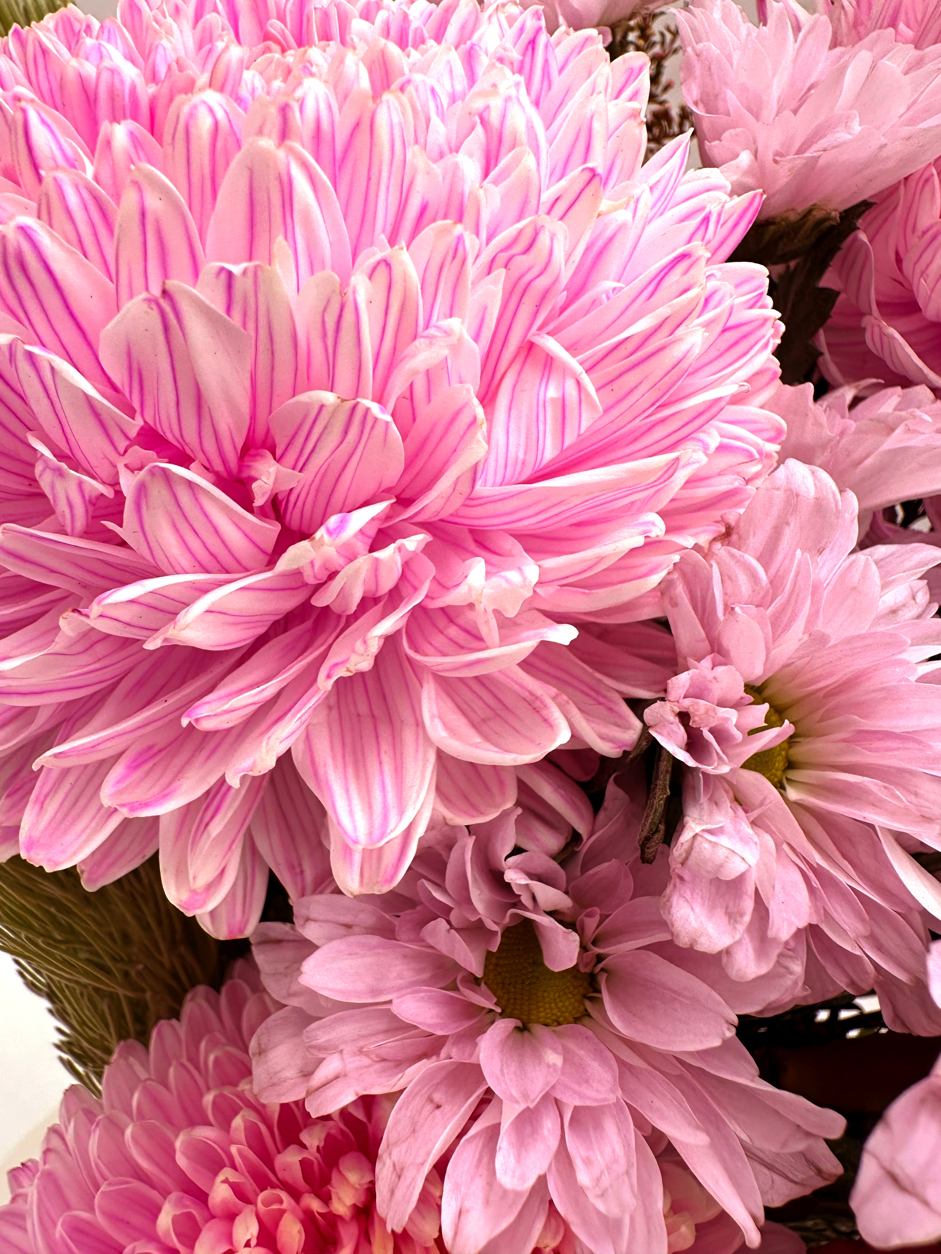 Seasonal Flower Subscription