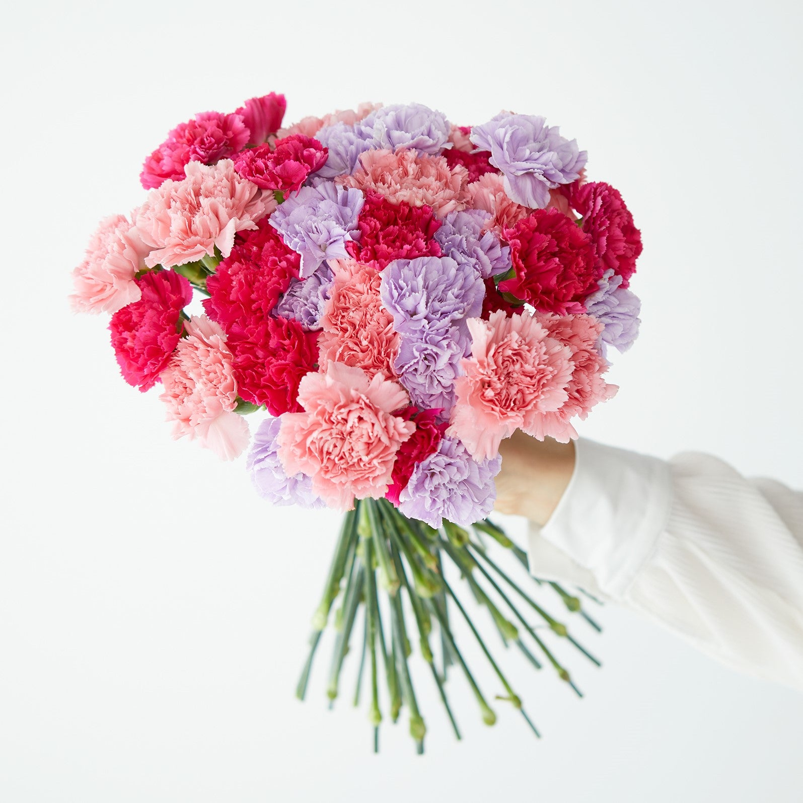 Mixed Carnations
