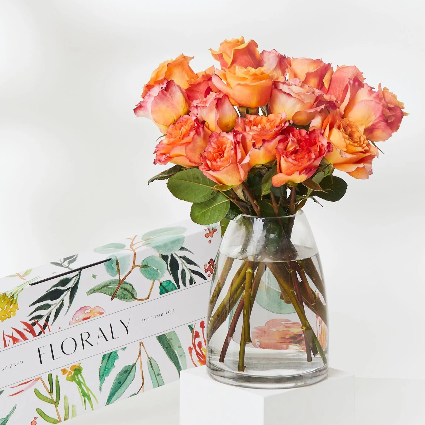 Orange Roses