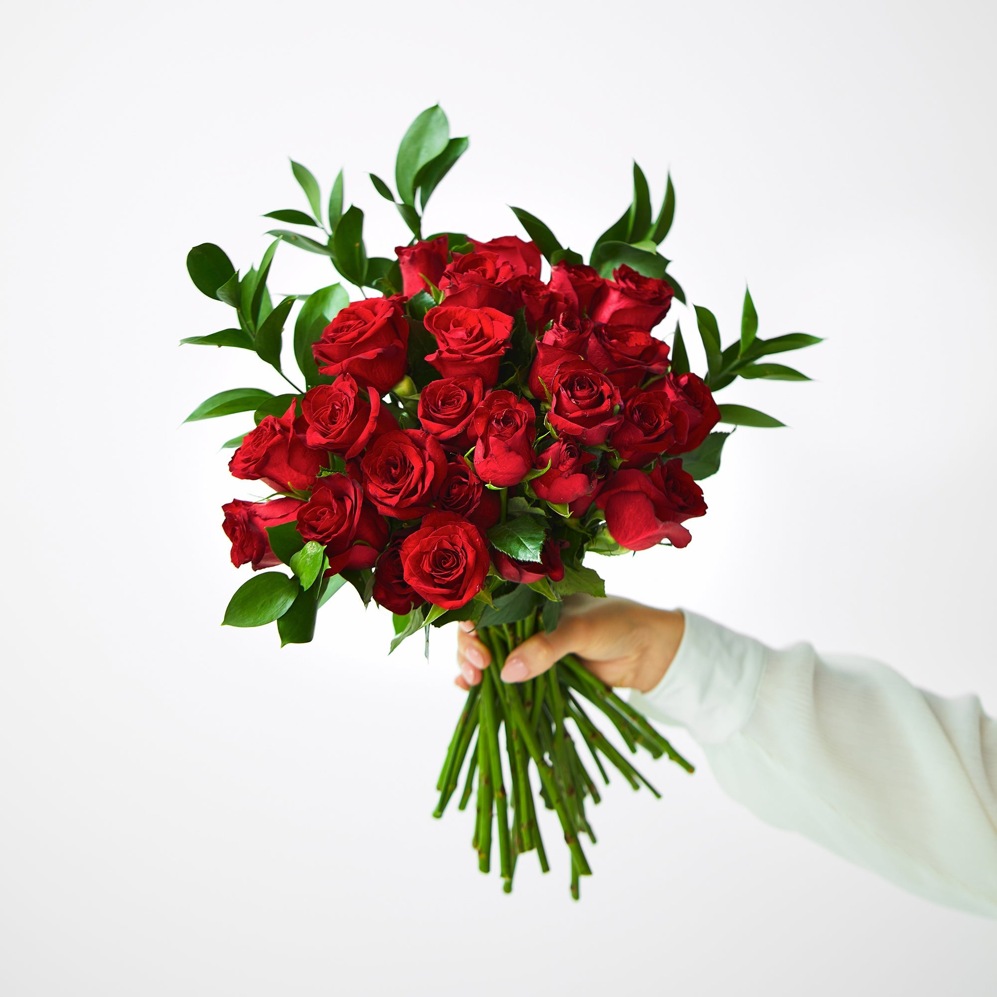 Red Roses | Subscriber Exclusive