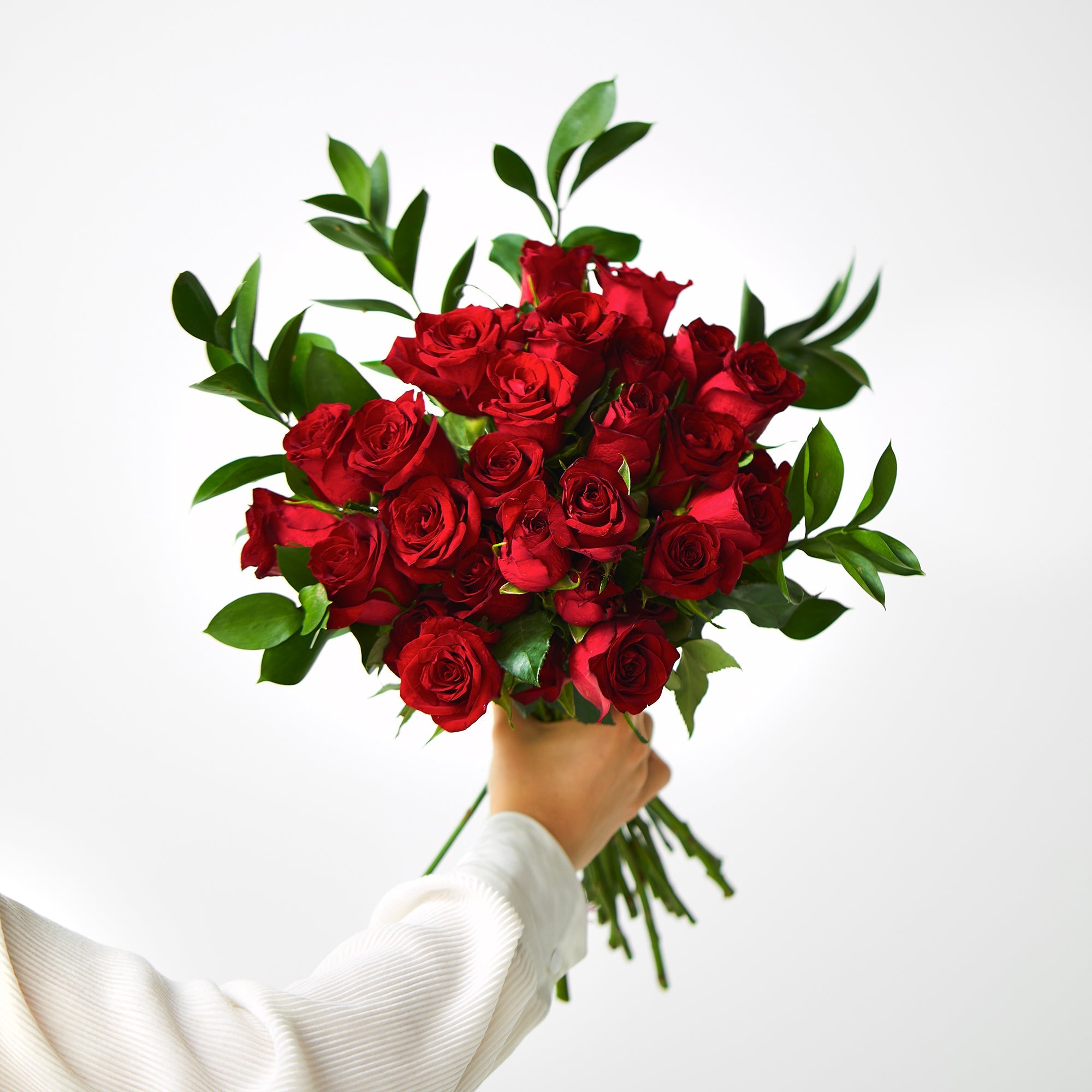 Red Roses | Subscriber Exclusive