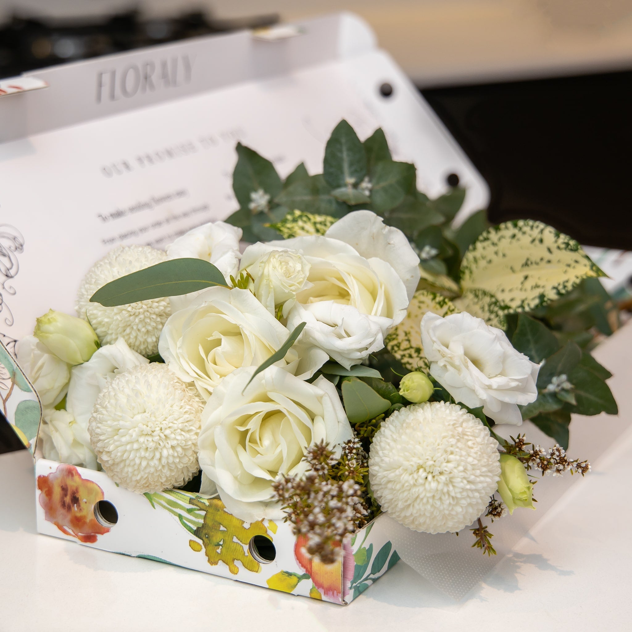 The Imogen - Floraly Australia