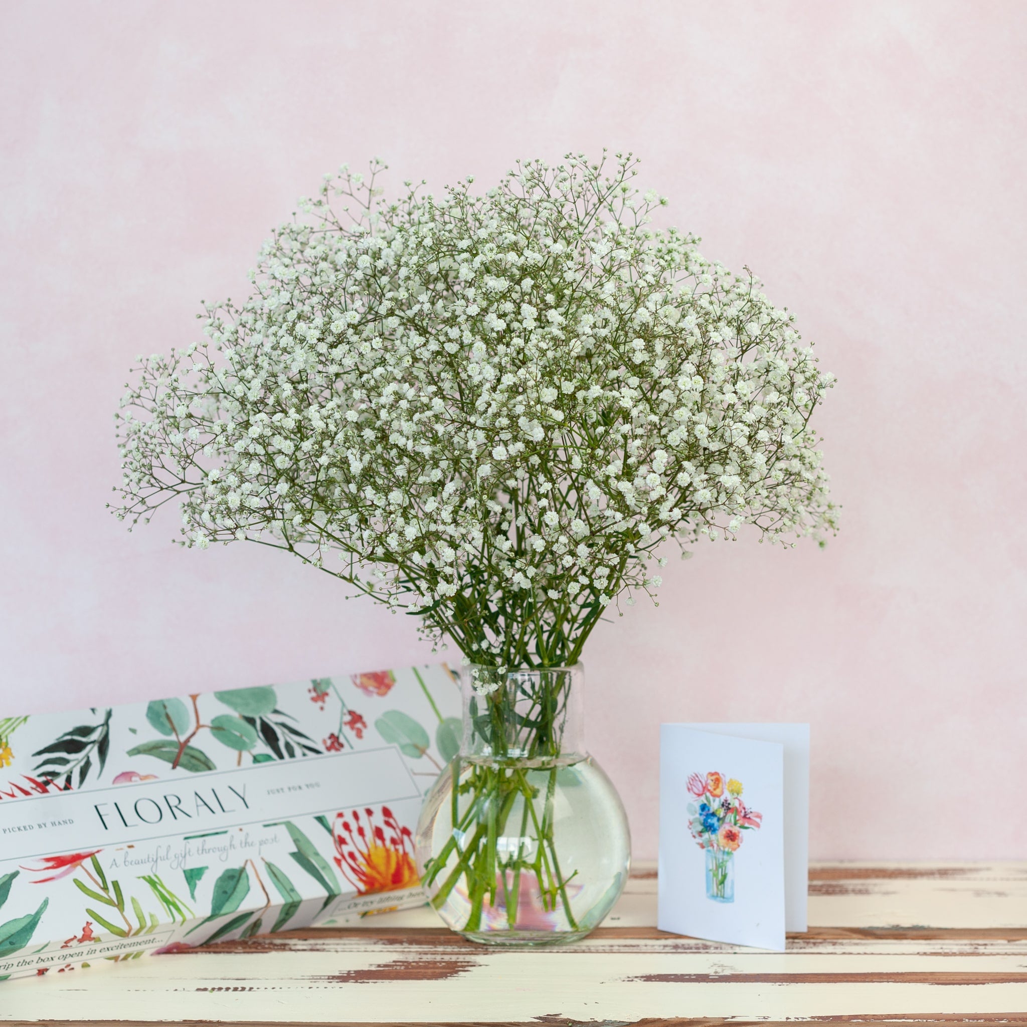 Baby's Breath - Floraly Australia
