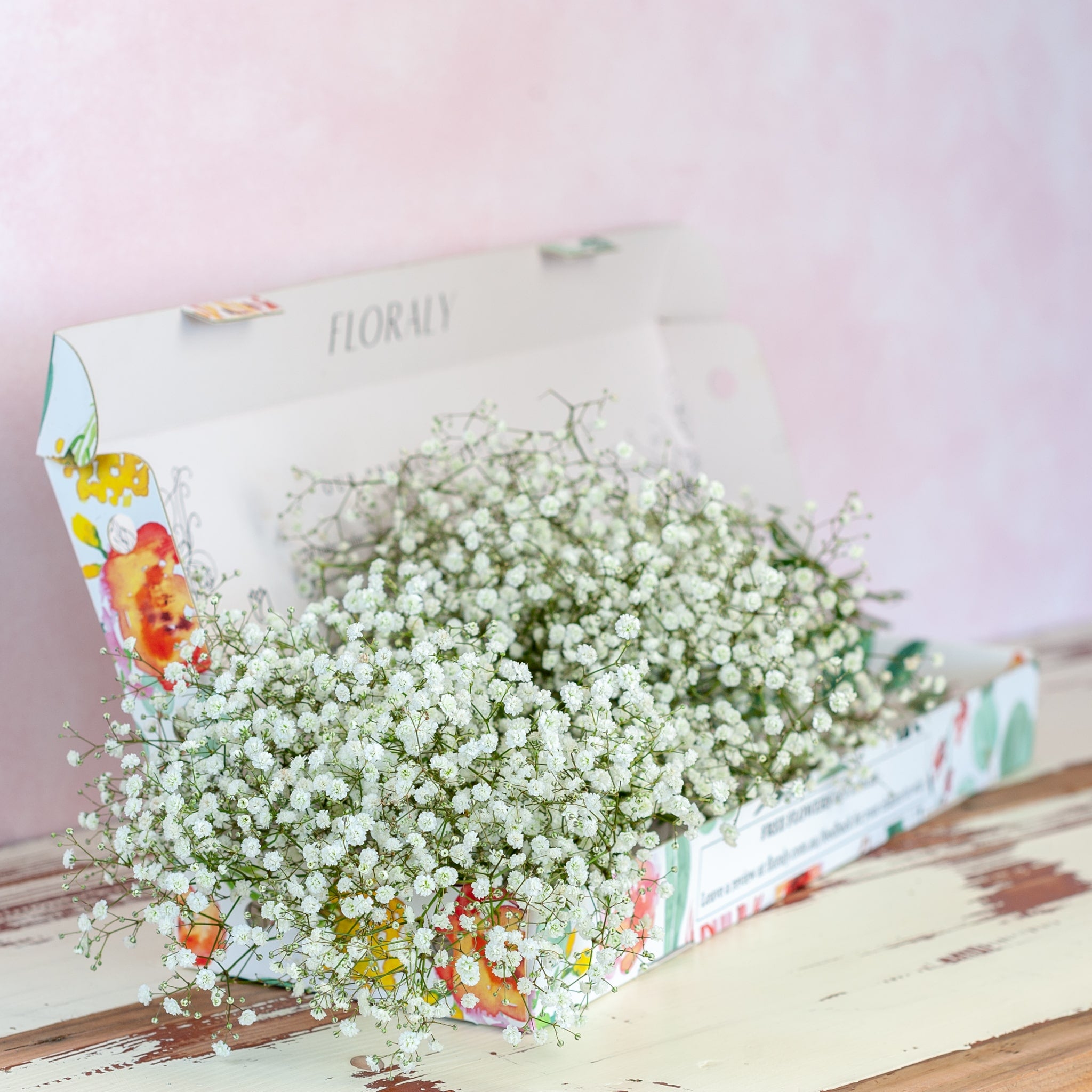 Baby's Breath - Floraly Australia