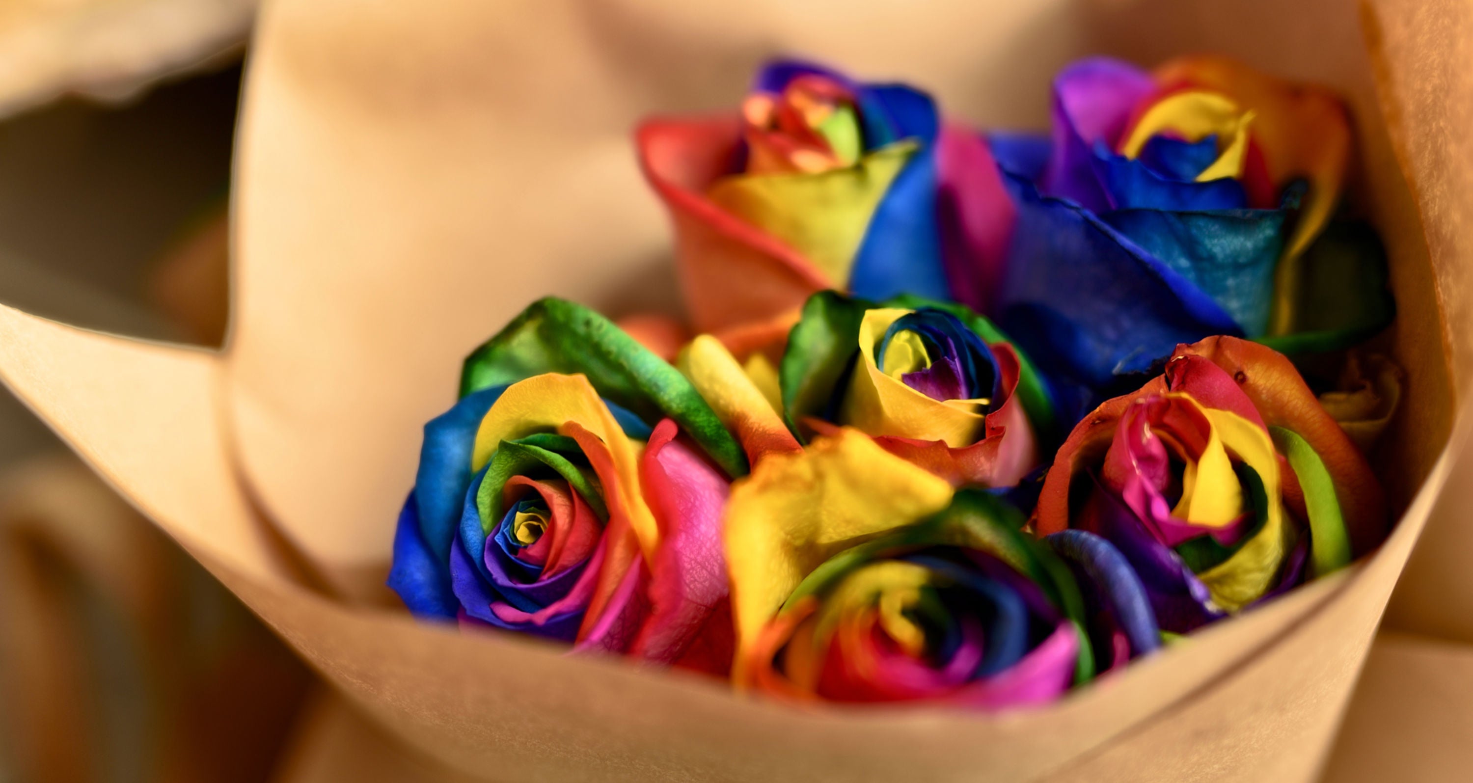 Rose Rainbow Colored Flowers Rainbow Roses In Brooklyn NY Marine