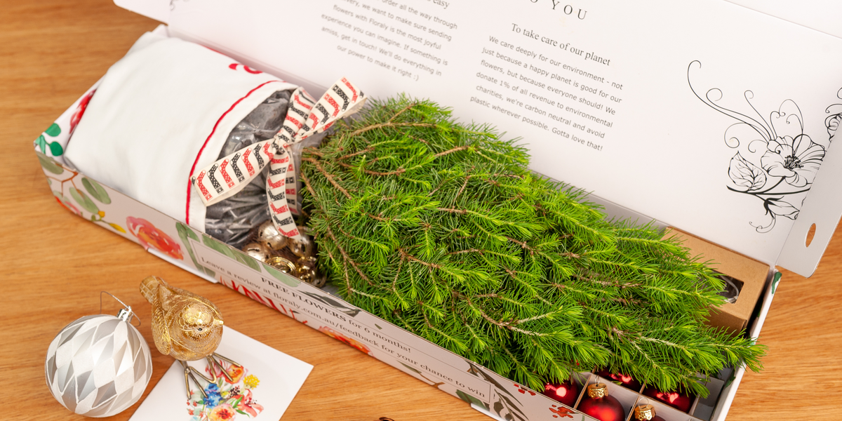 How to Care for your Potted Christmas Tree | Floraly