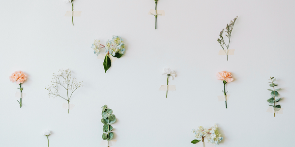 How to nail dried flower wall decor