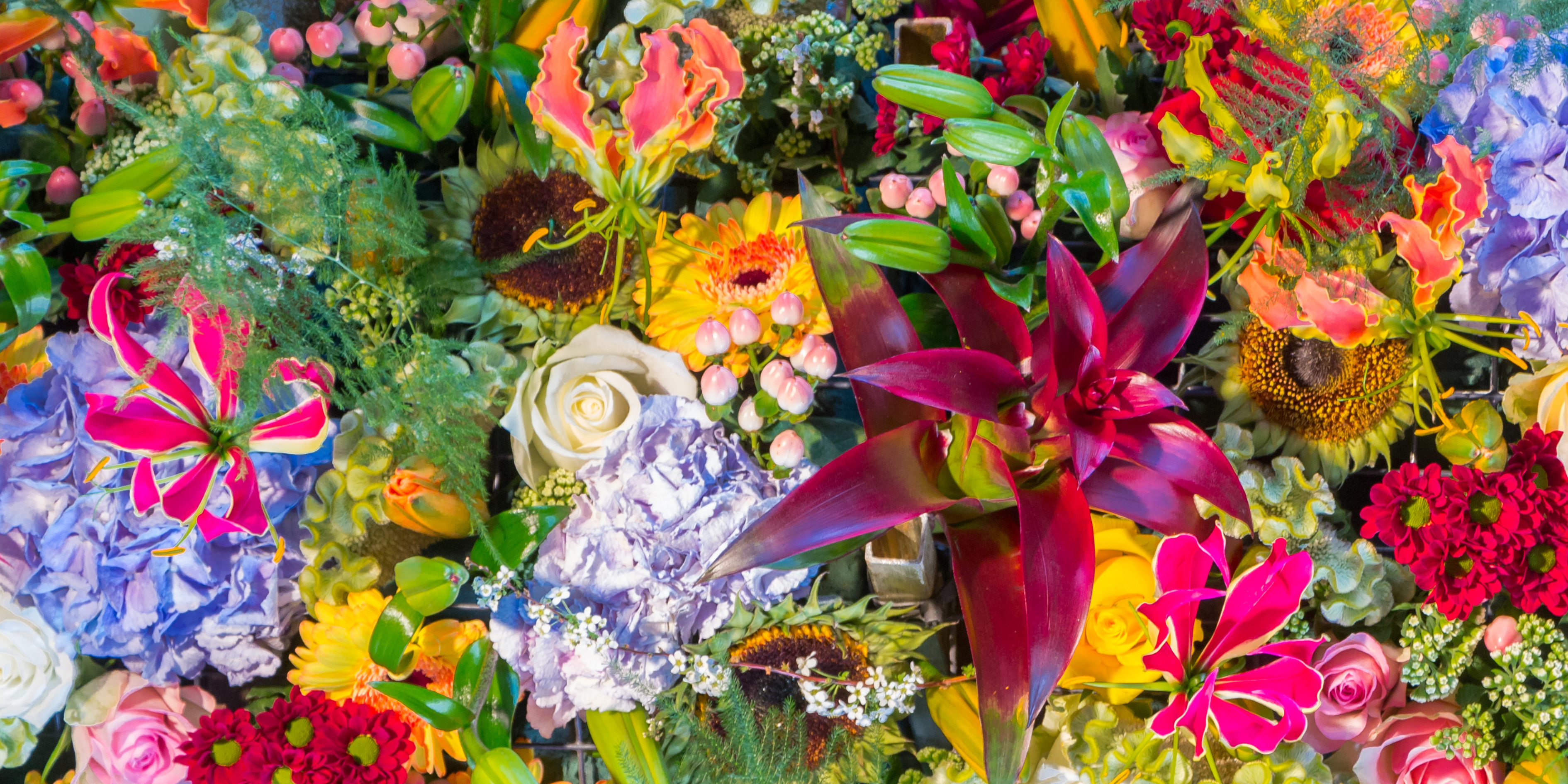 Floriography: The Meaning of Flowers | The Floraly Journal