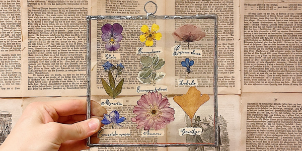 How to Frame Dried Flowers