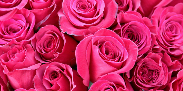 Valentine's Day Flowers for Romantic & Platonic Loves