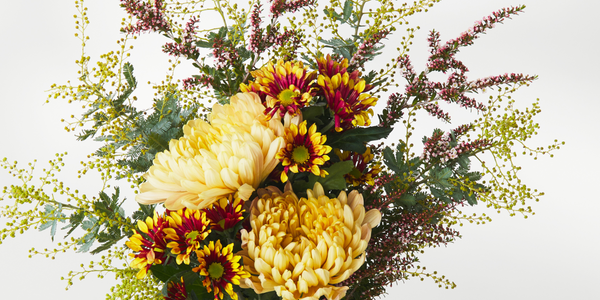 What are Posies? History, Meanings & Why They’re Different to Bouquets