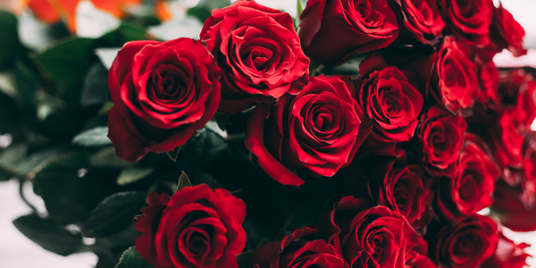 Your Guide to Romantic Valentine's Day Flowers