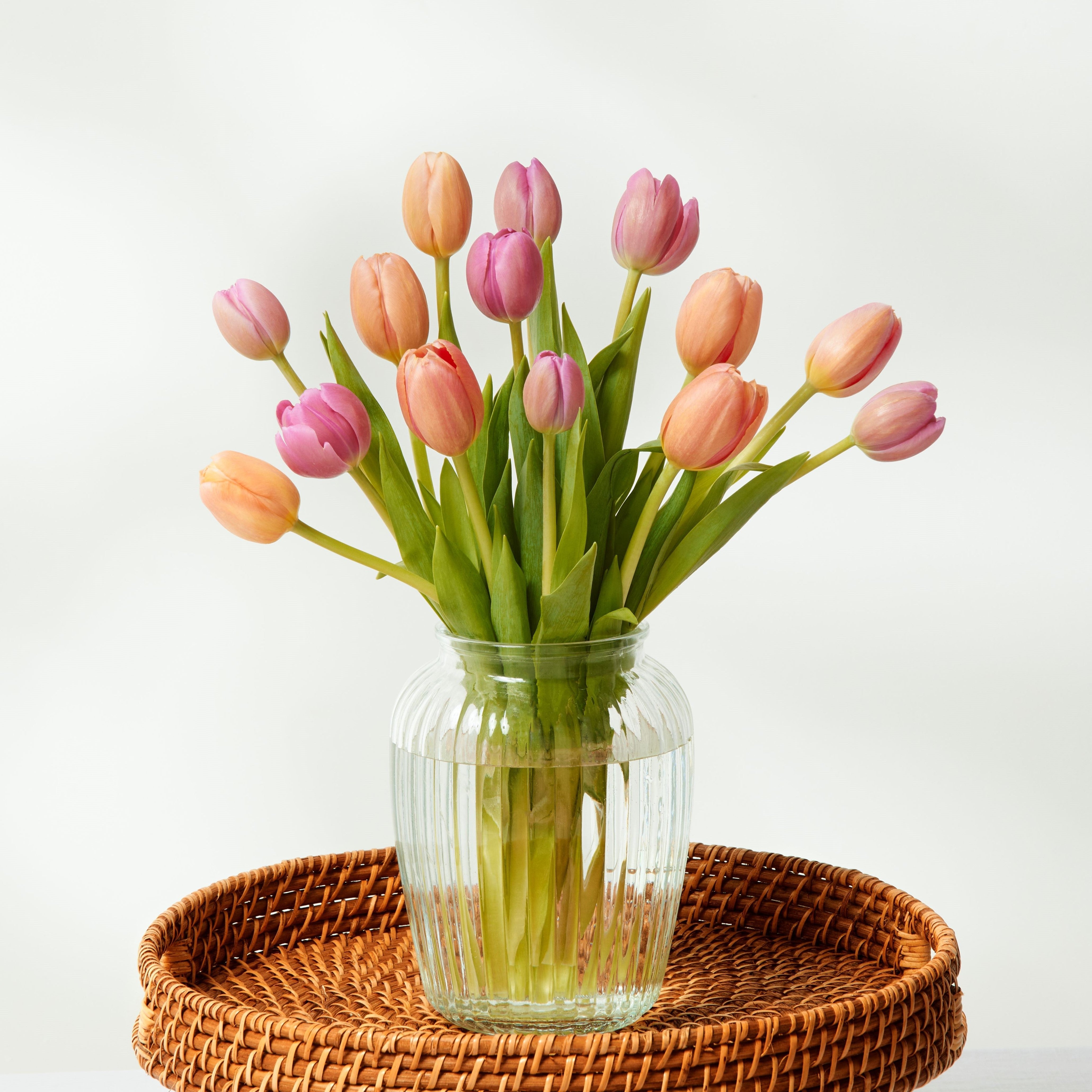 Mixed Tulips