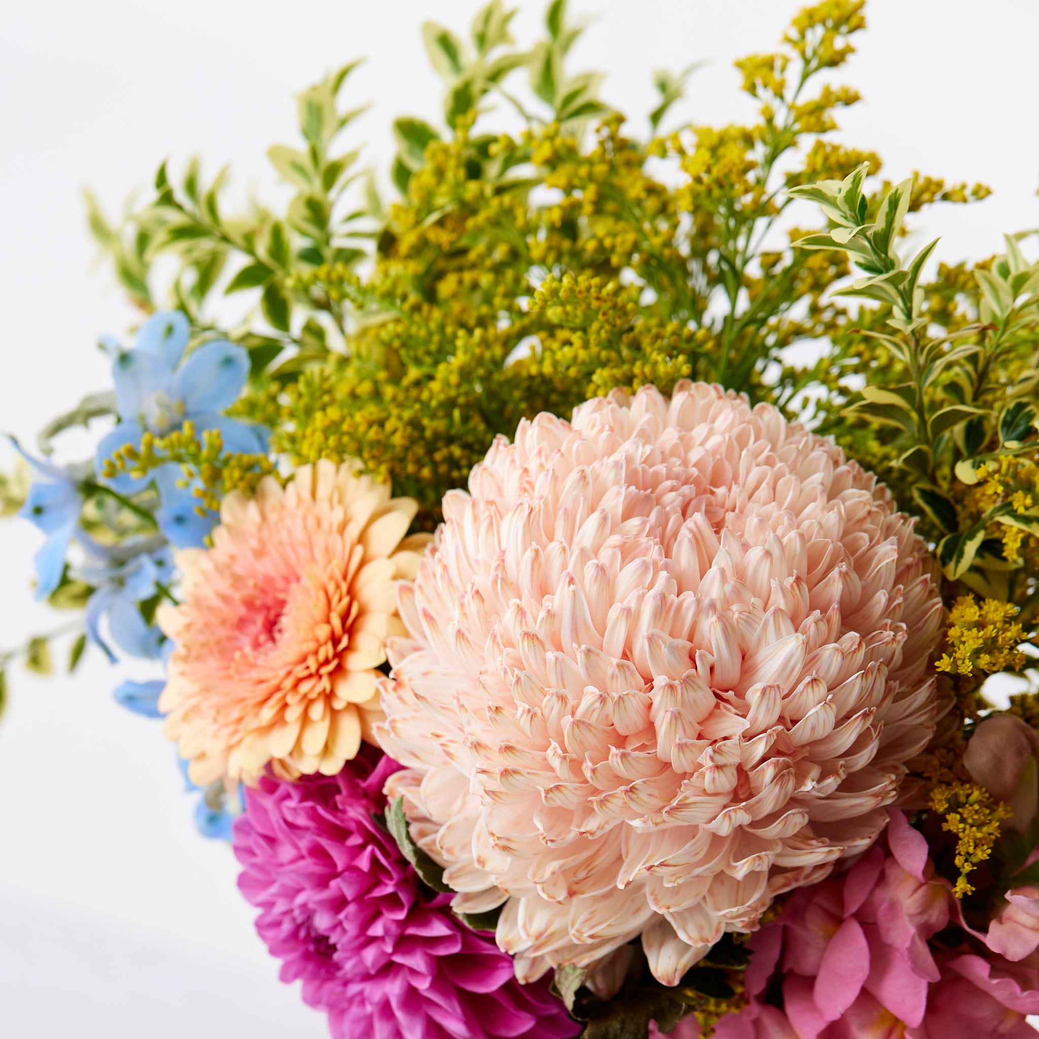 The Aquarius Posy