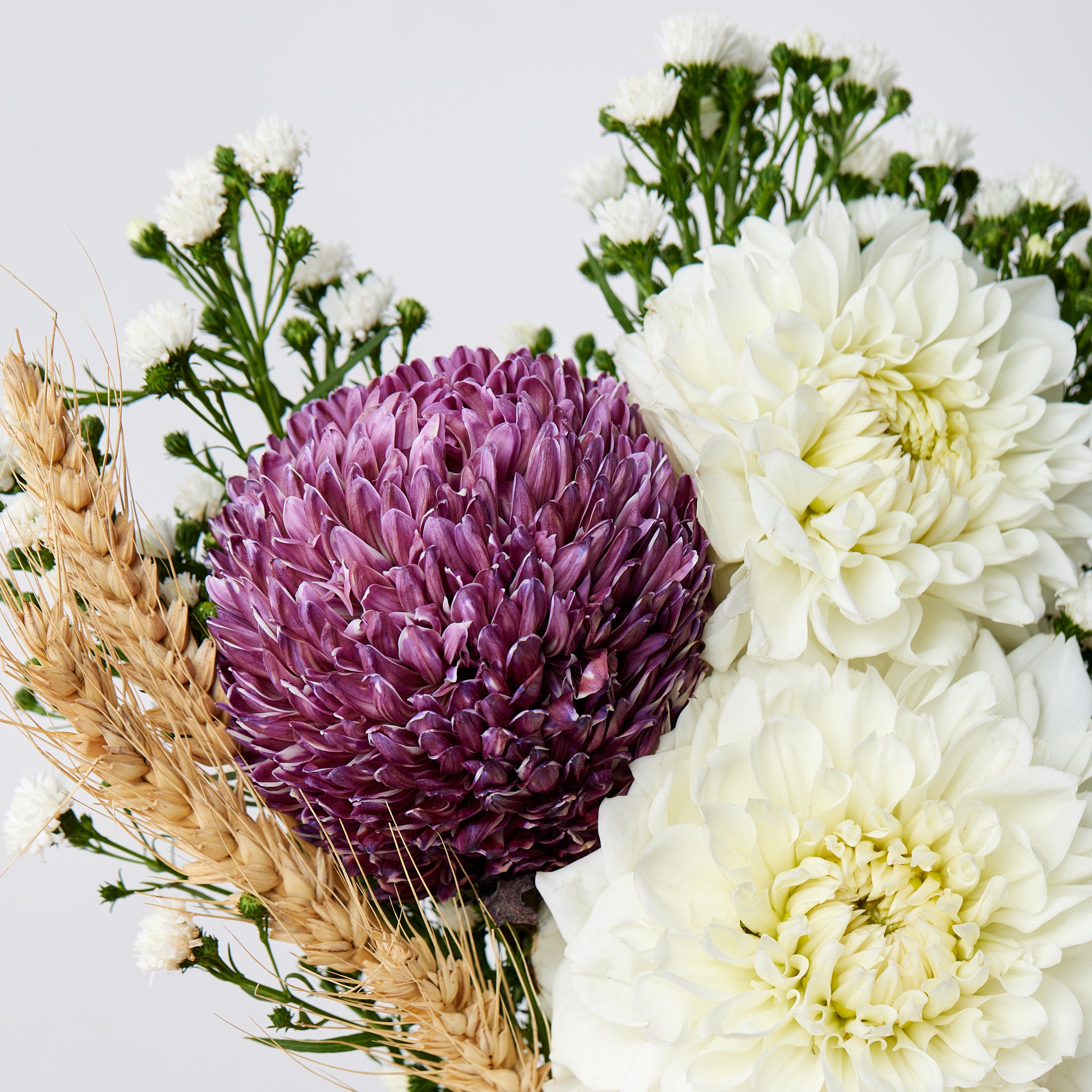 The Capricorn Posy
