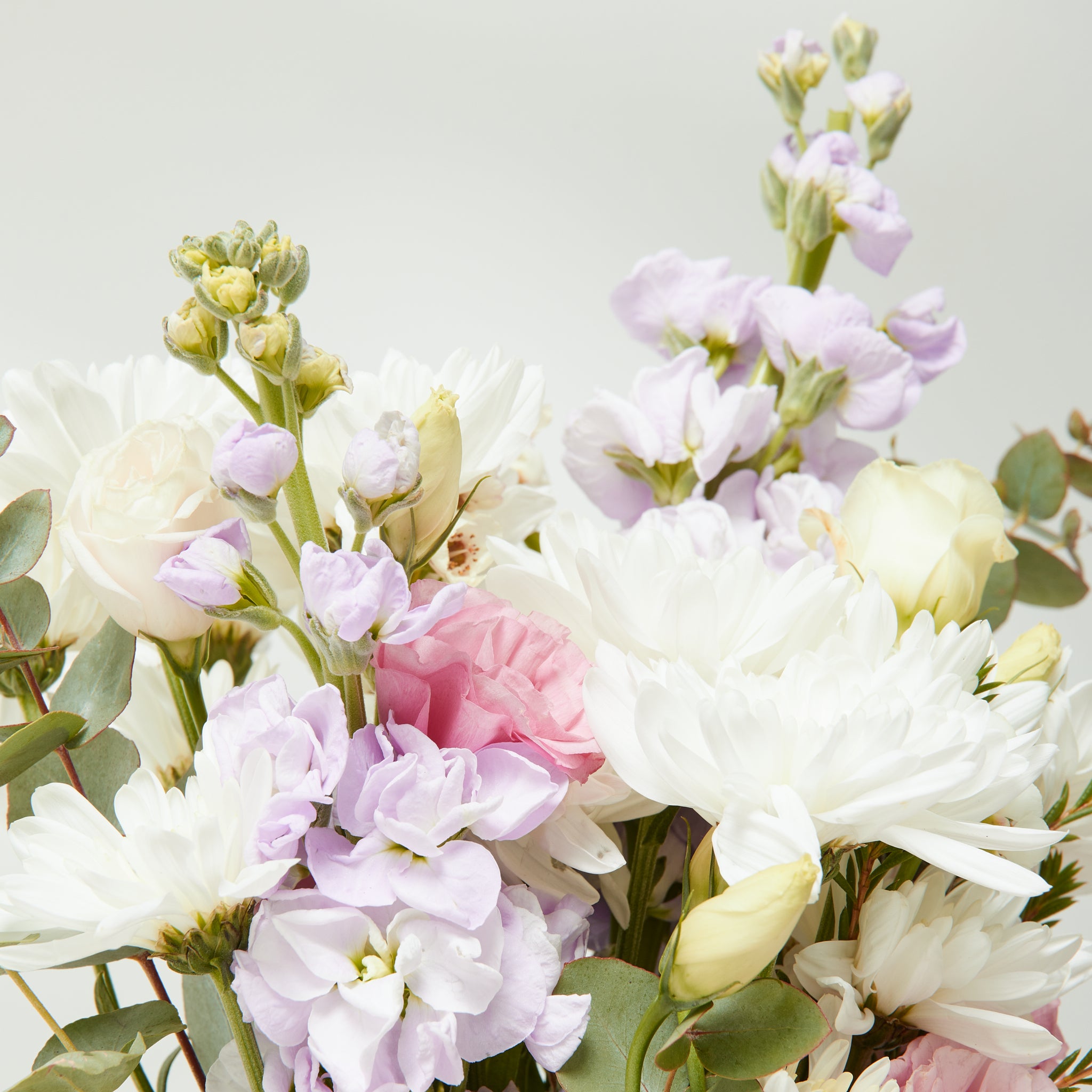 The Hailey Posy
