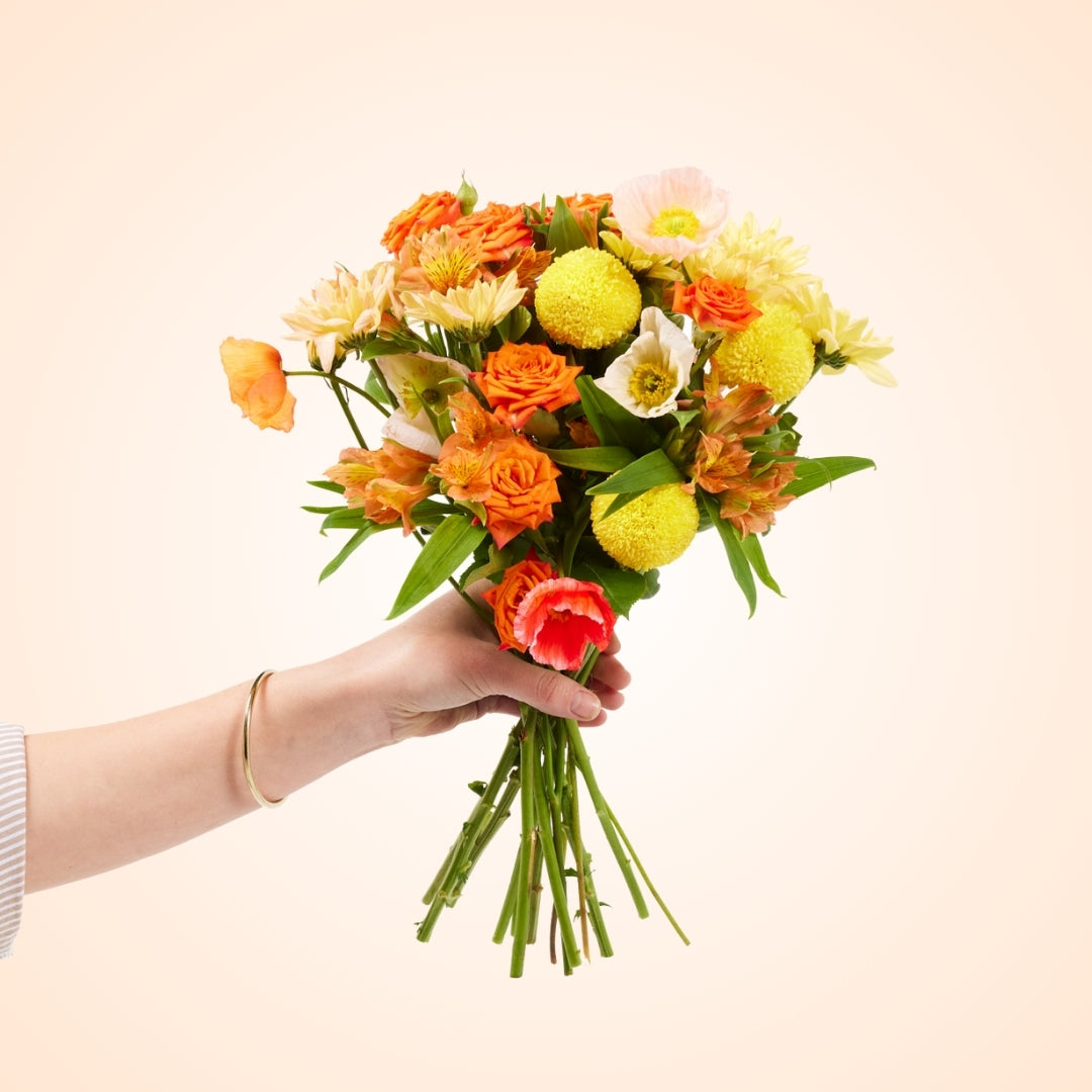 The Leo Posy