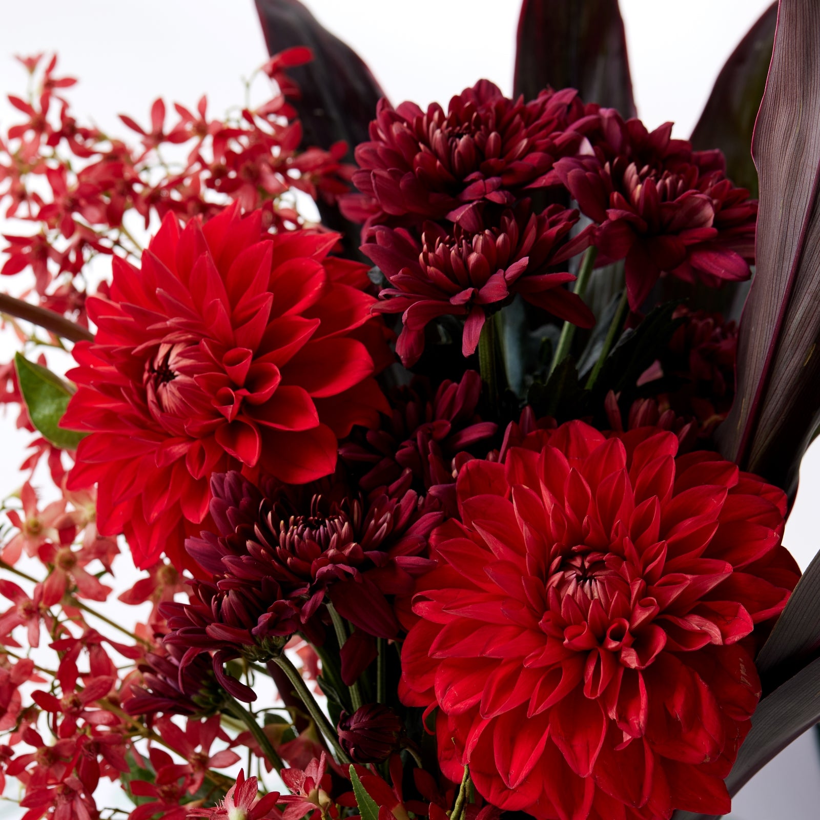 The Merry Posy
