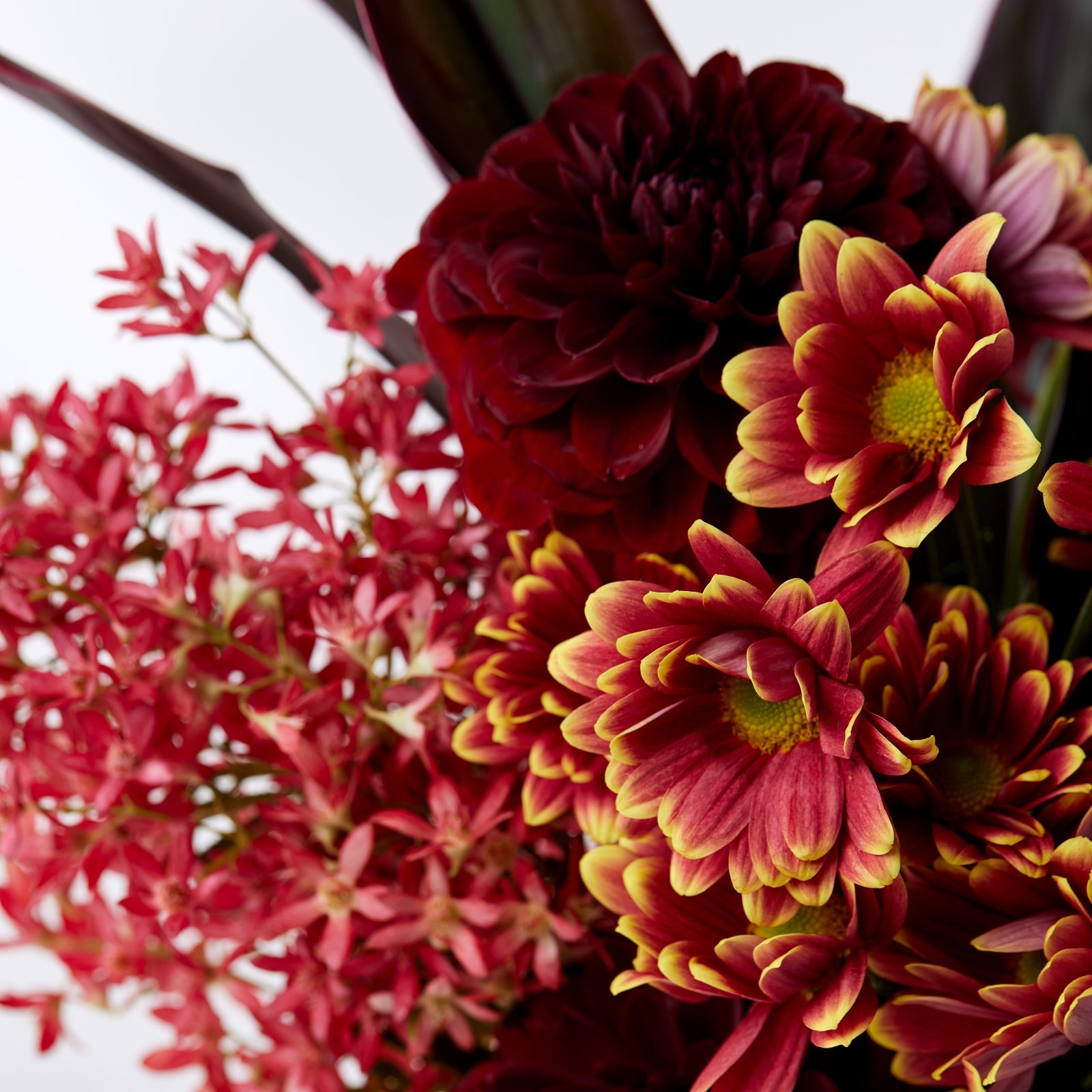 The Merry Posy
