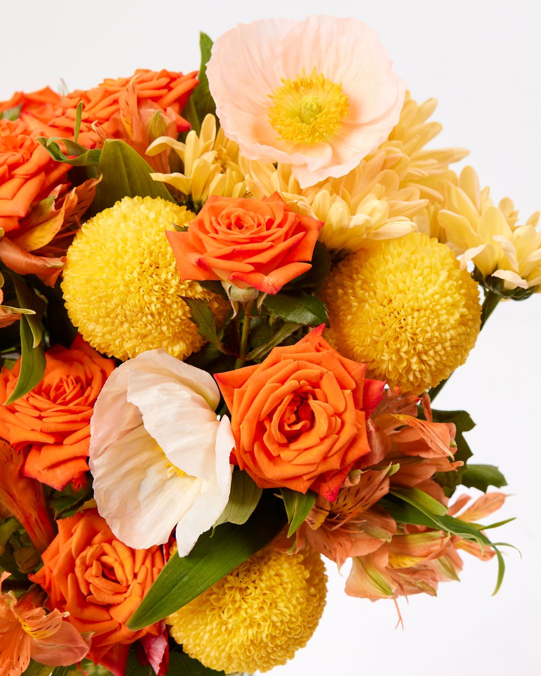 The Leo Posy