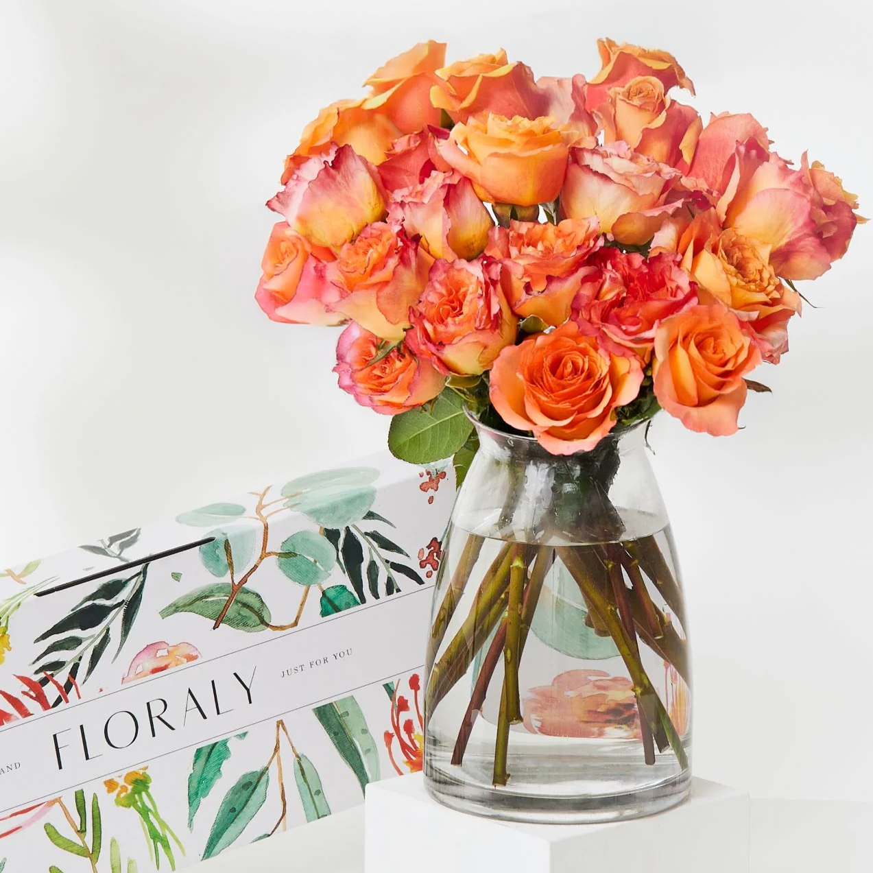 Orange Roses