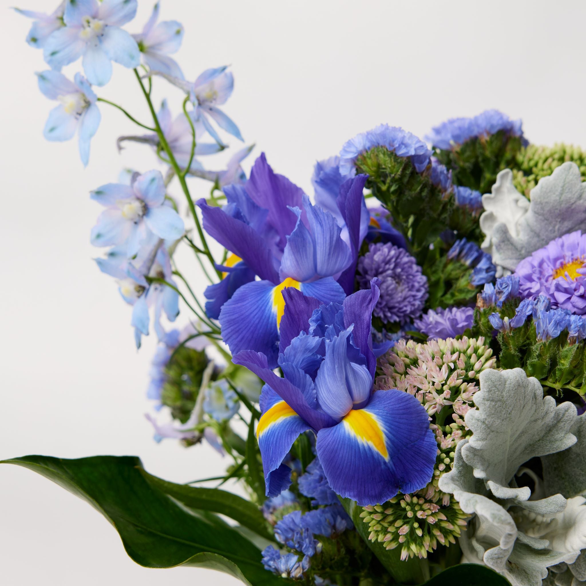 The Pisces Posy