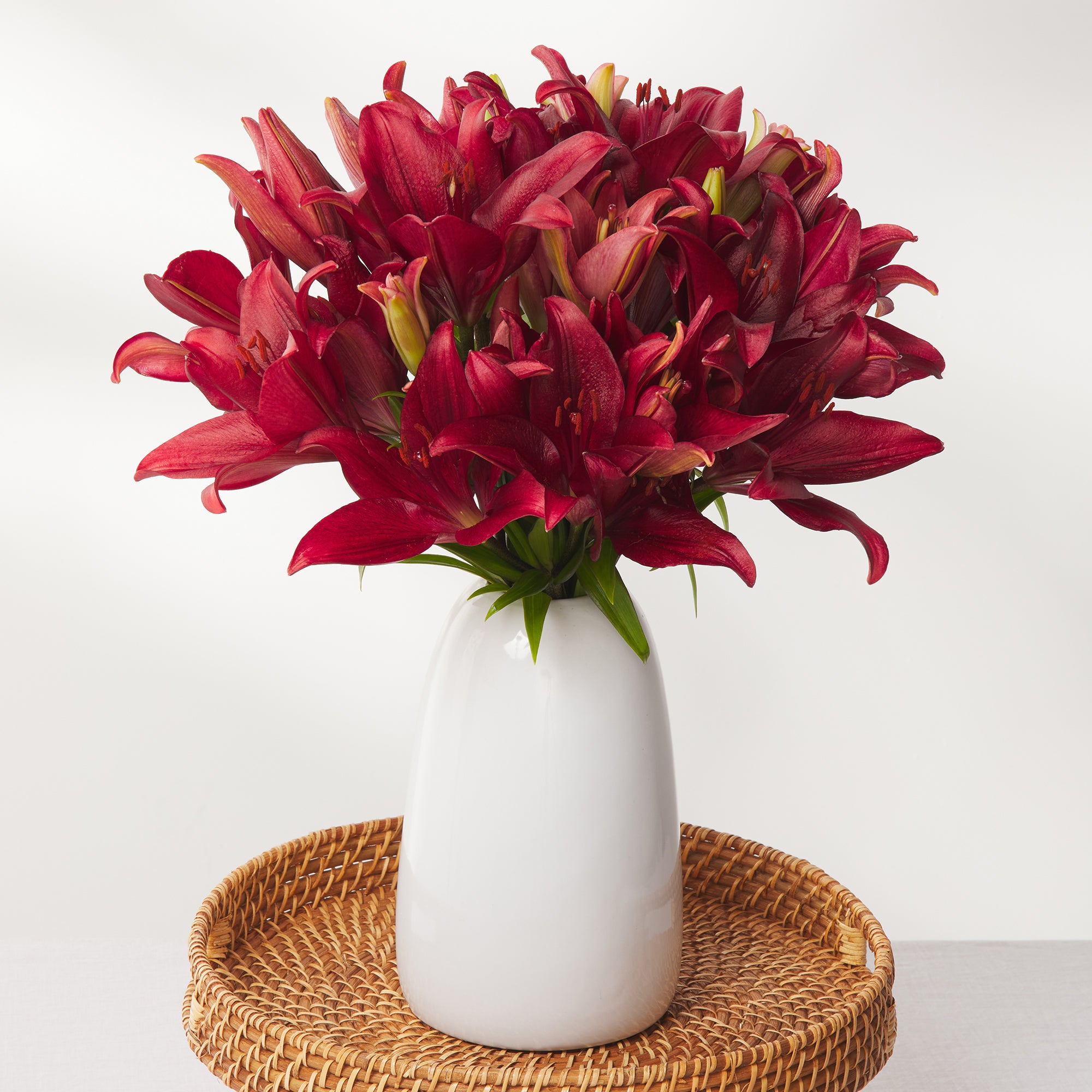 Red Tiger Lilies