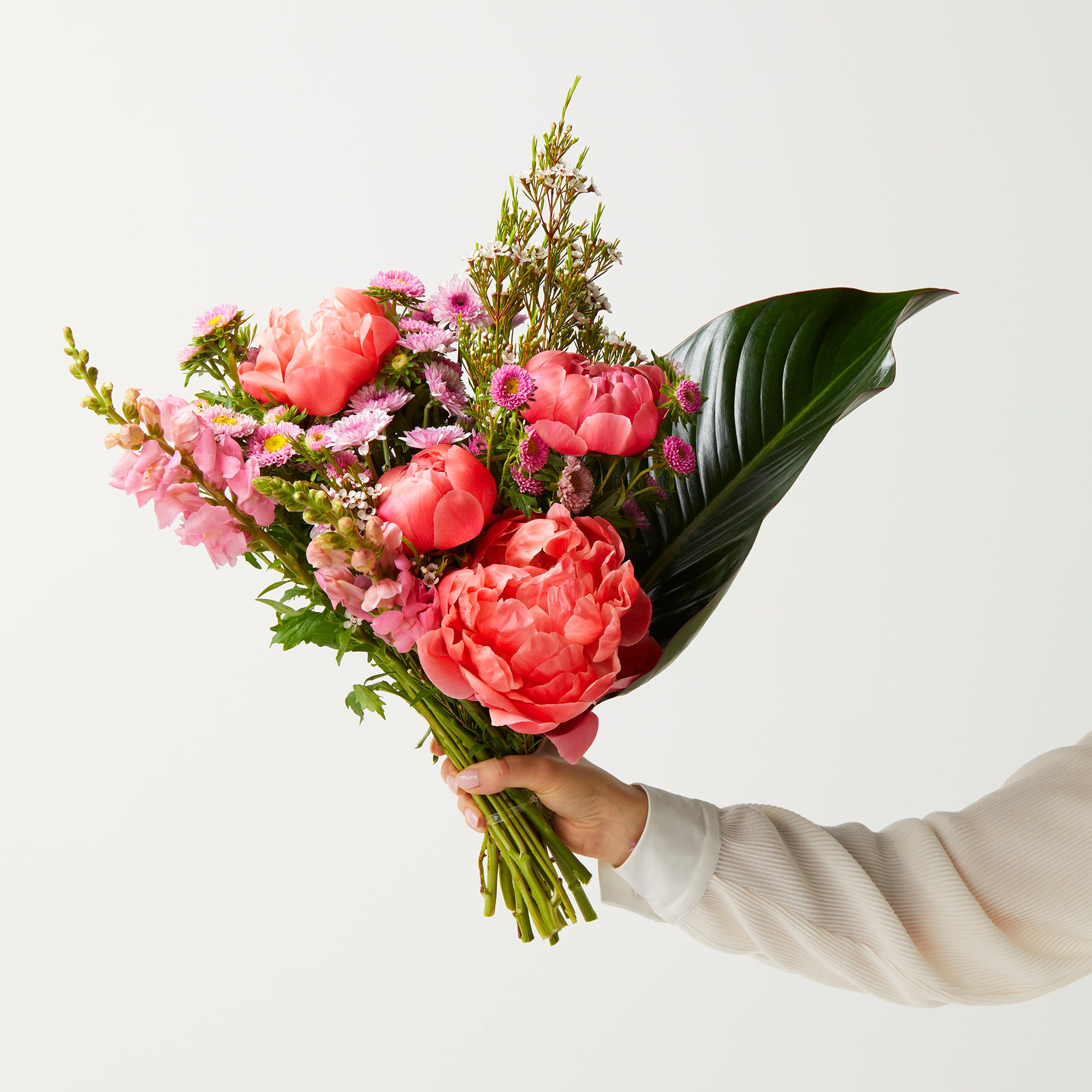 The Peony Dream