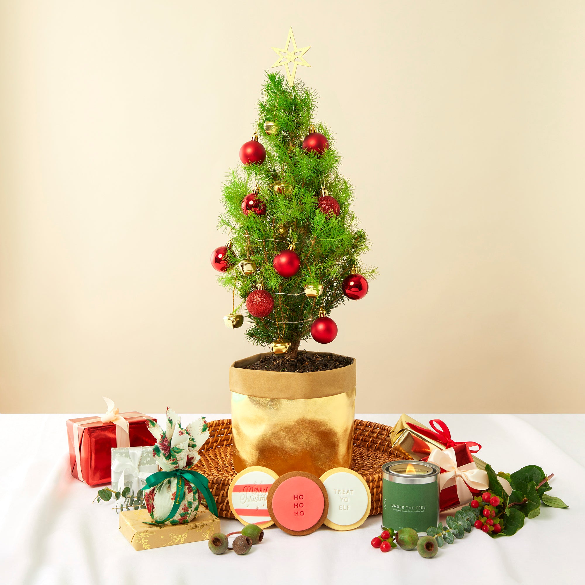 Tiny Christmas Tree