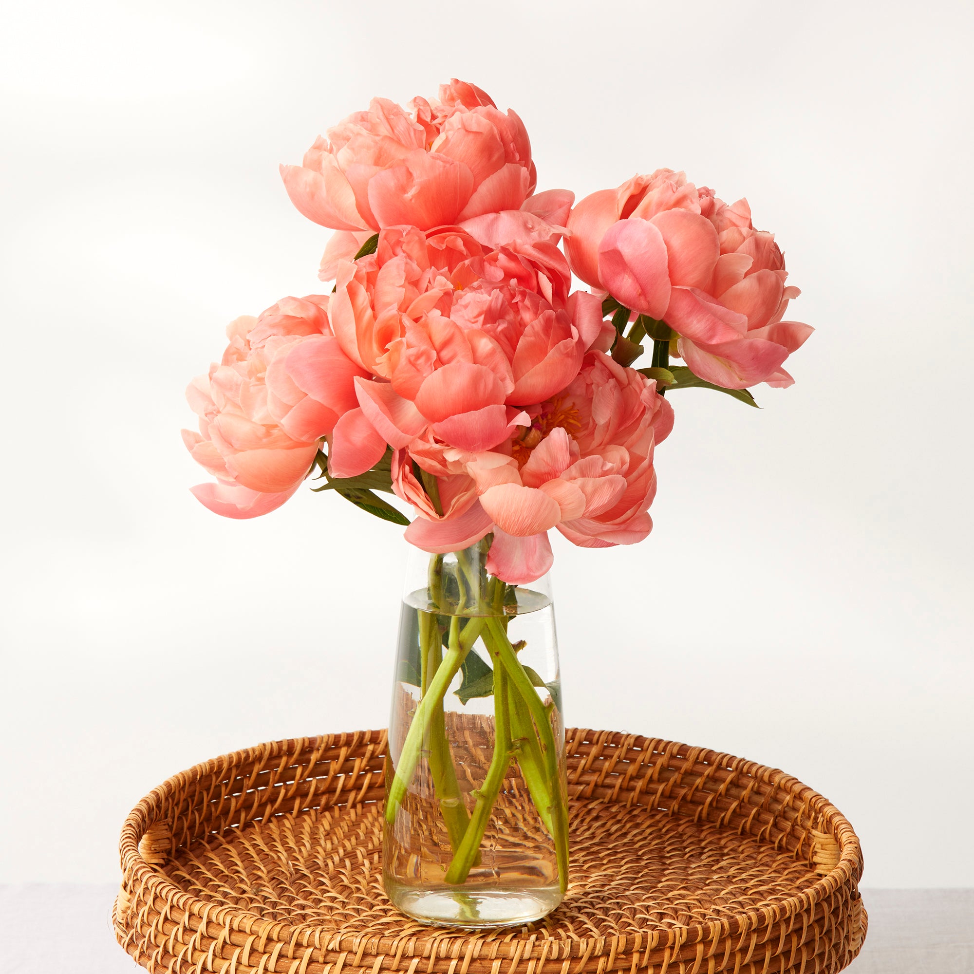 Coral Peonies