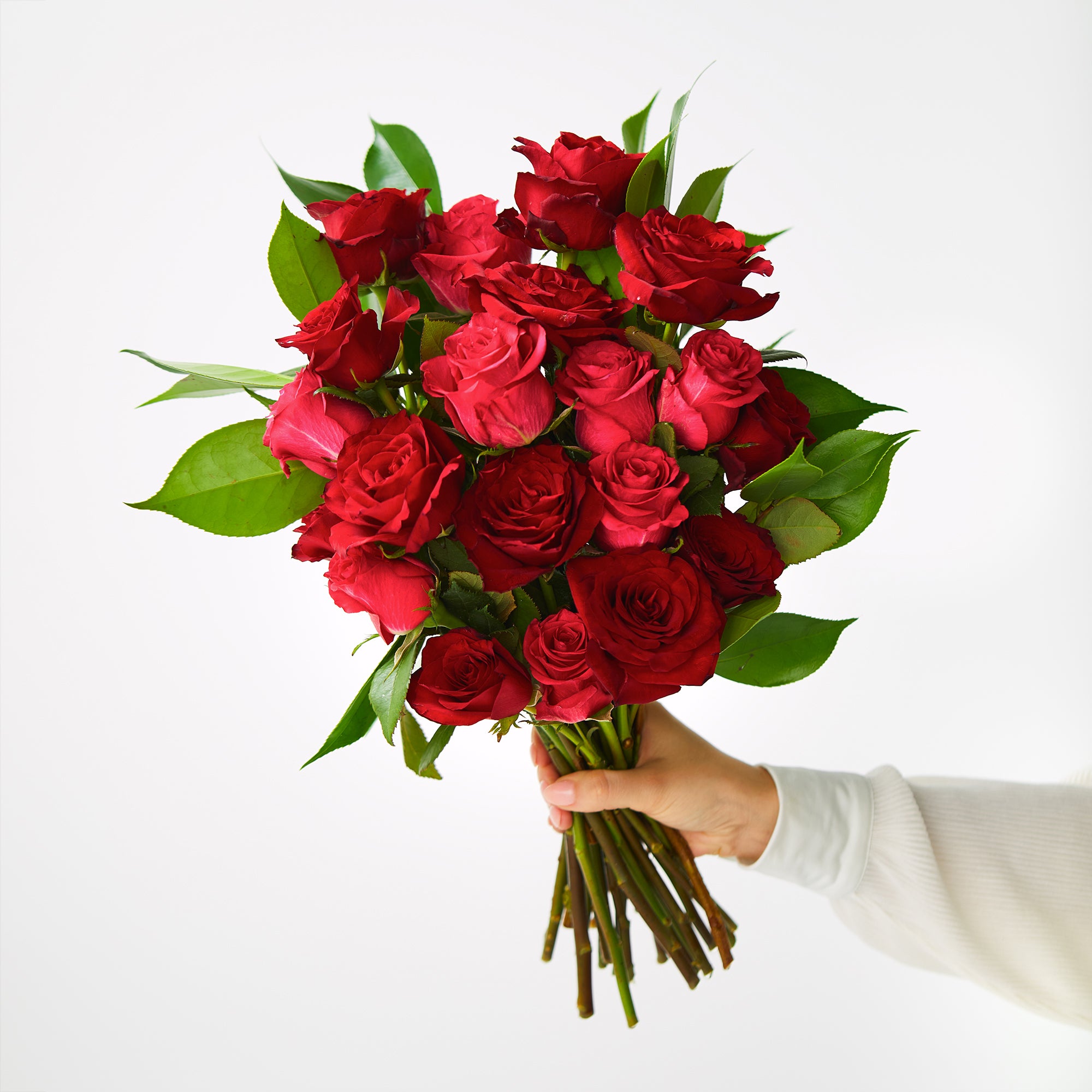 The Rosa