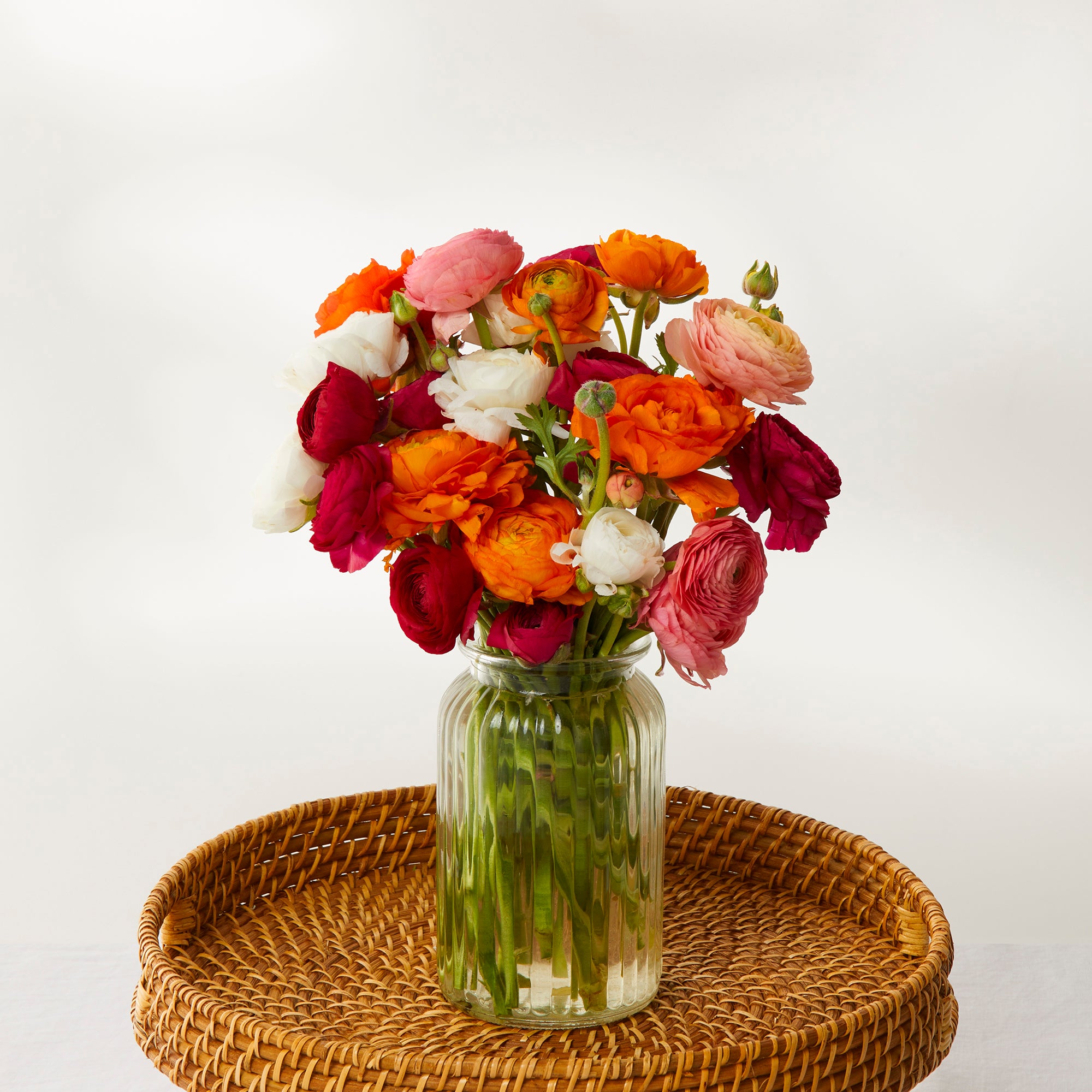 Mixed Ranunculus