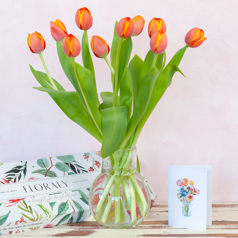 Orange Tulips - Floraly Australia