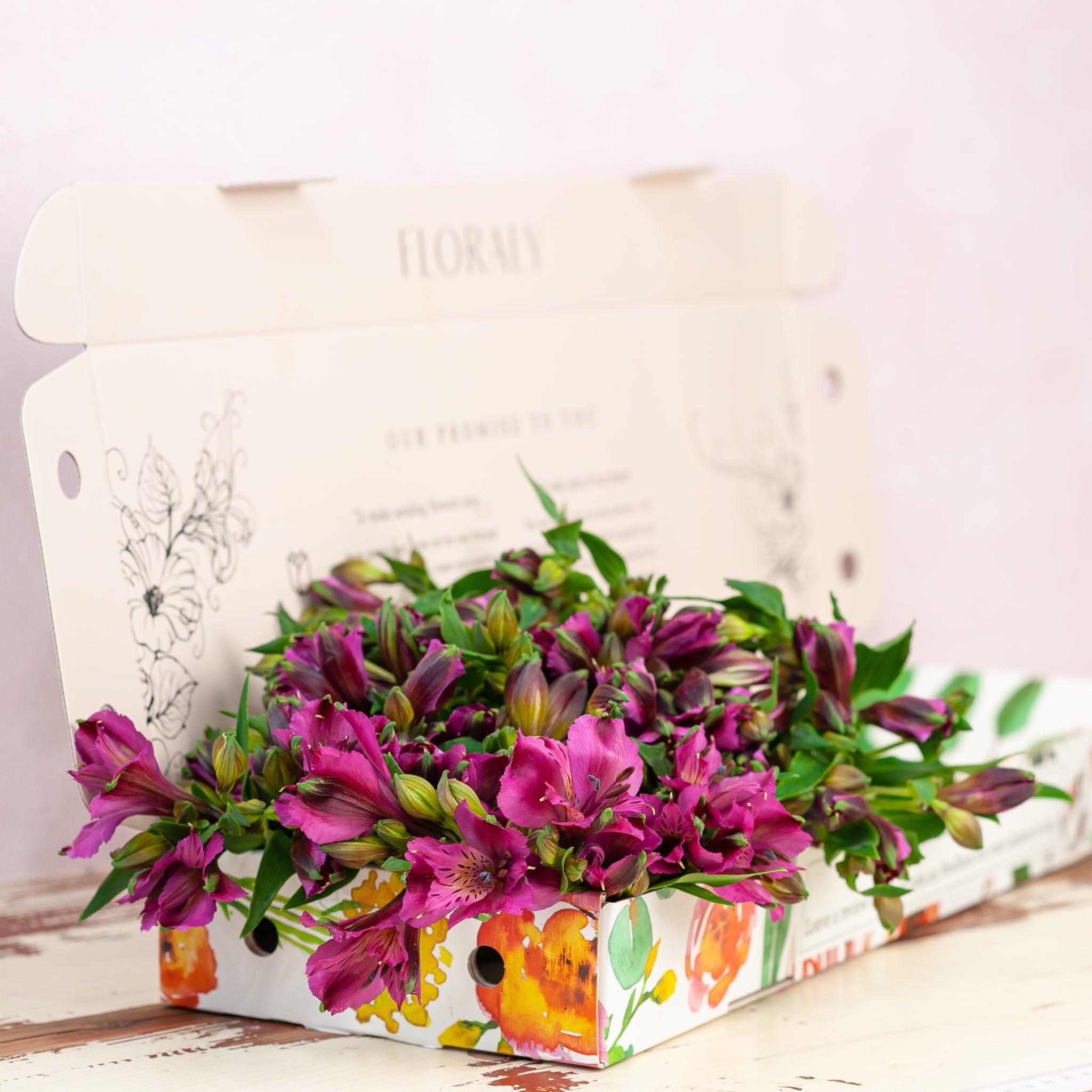 Deluxe Purple Alstromeria - Floraly Australia