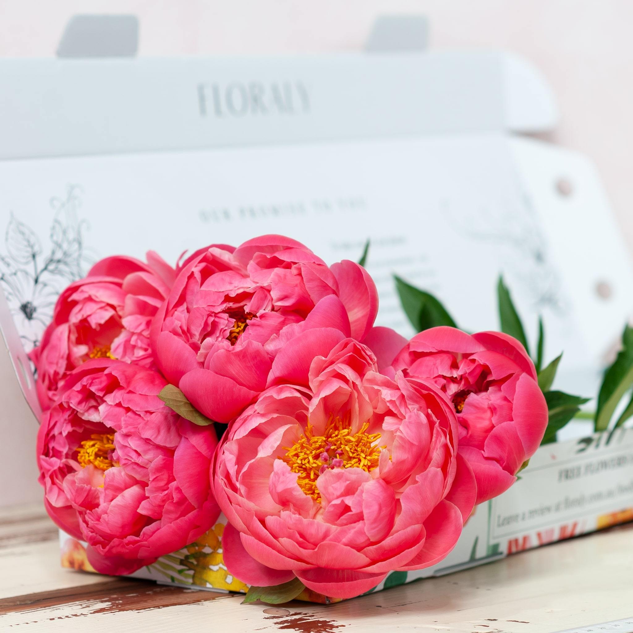 Coral Peonies - Floraly Australia