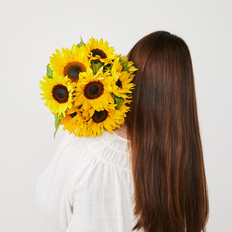 Sunflowers | Subscriber Exclusive
