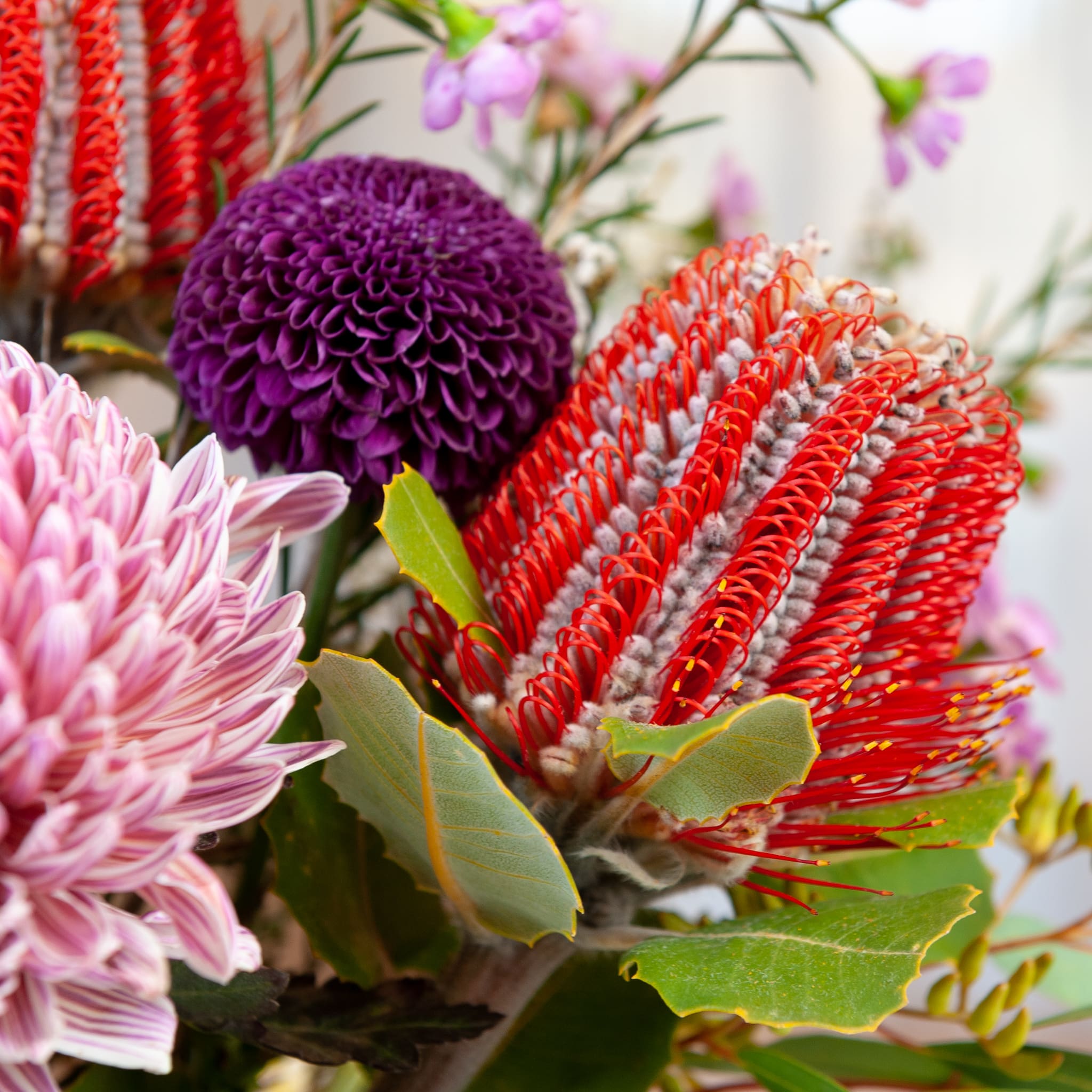 The Zara - Floraly Australia