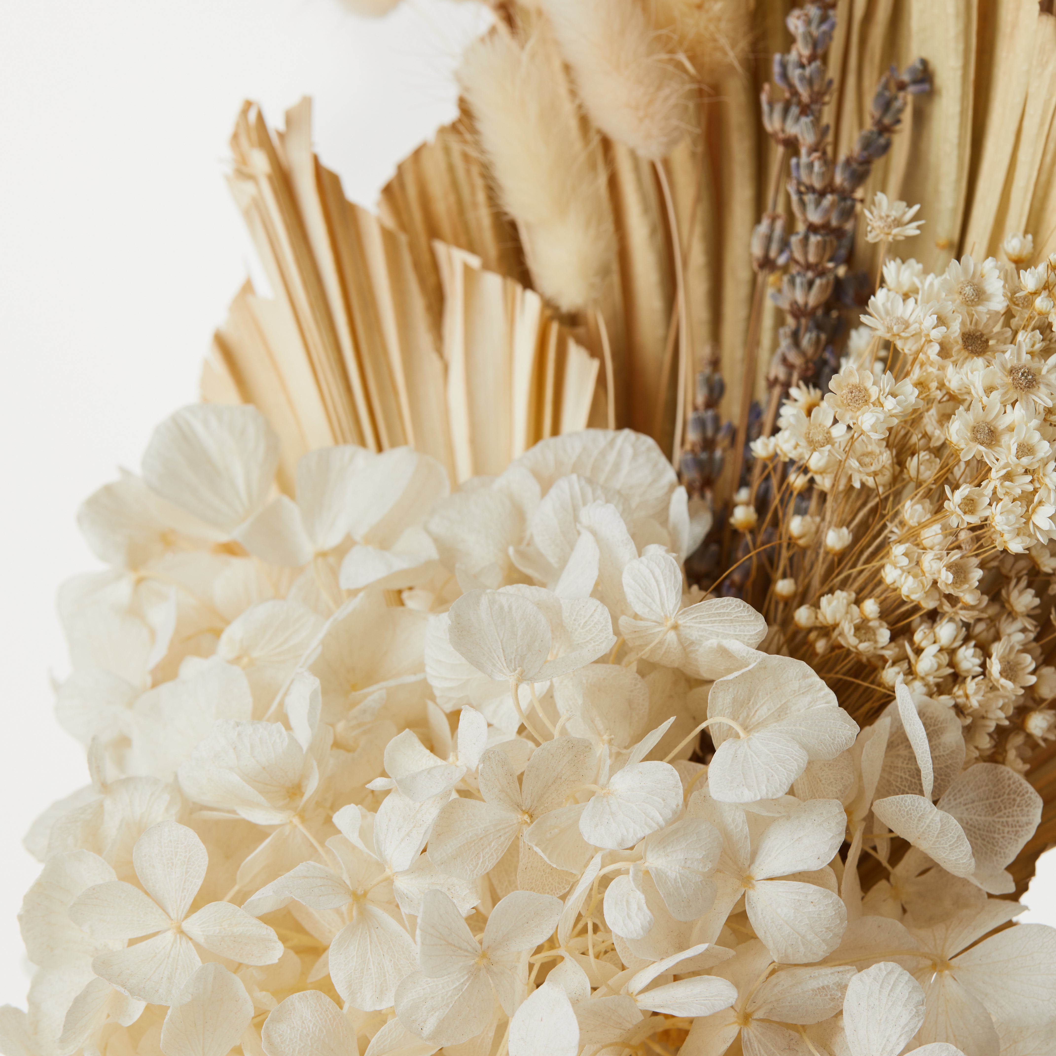 The Margot | Dried Posy