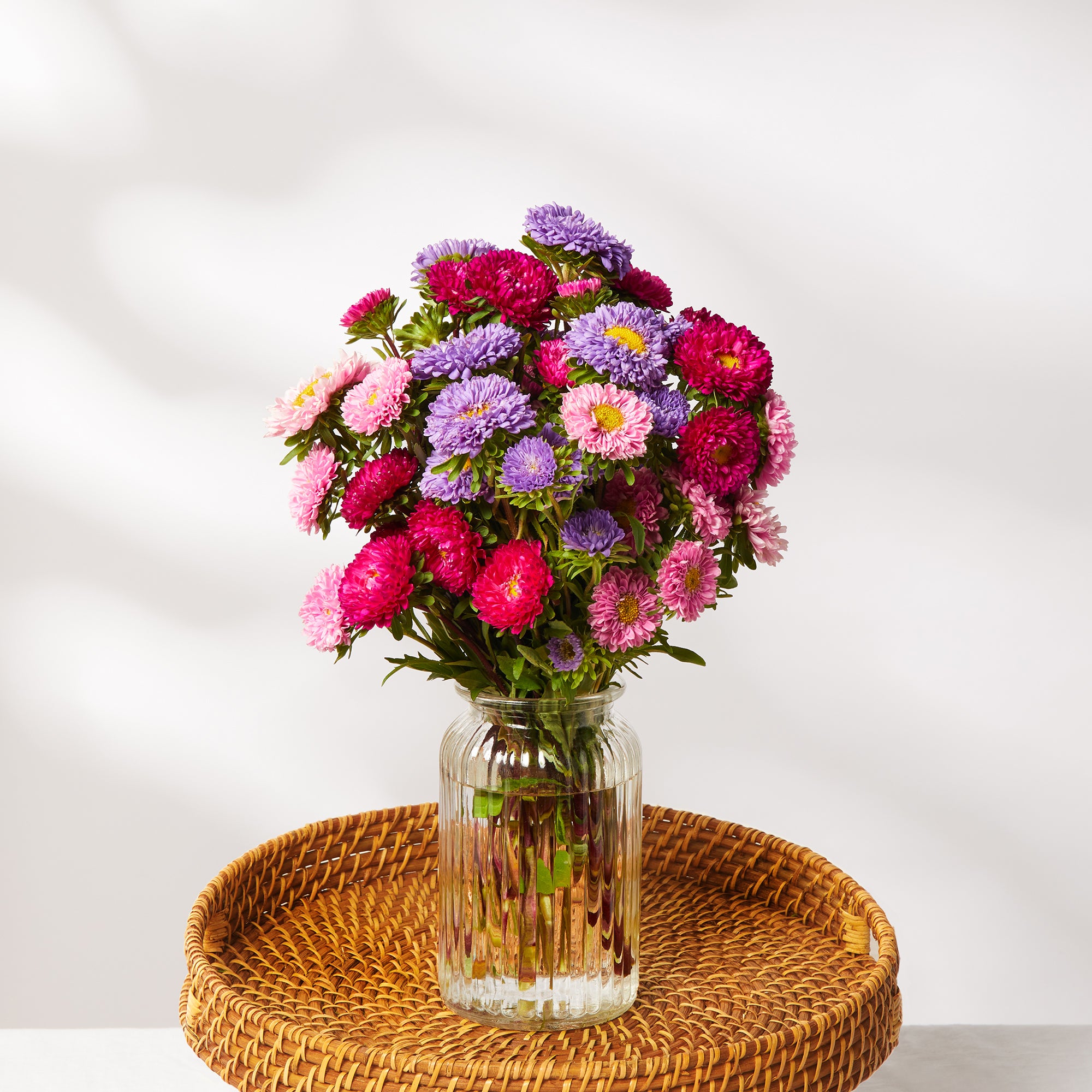 Mixed Asters