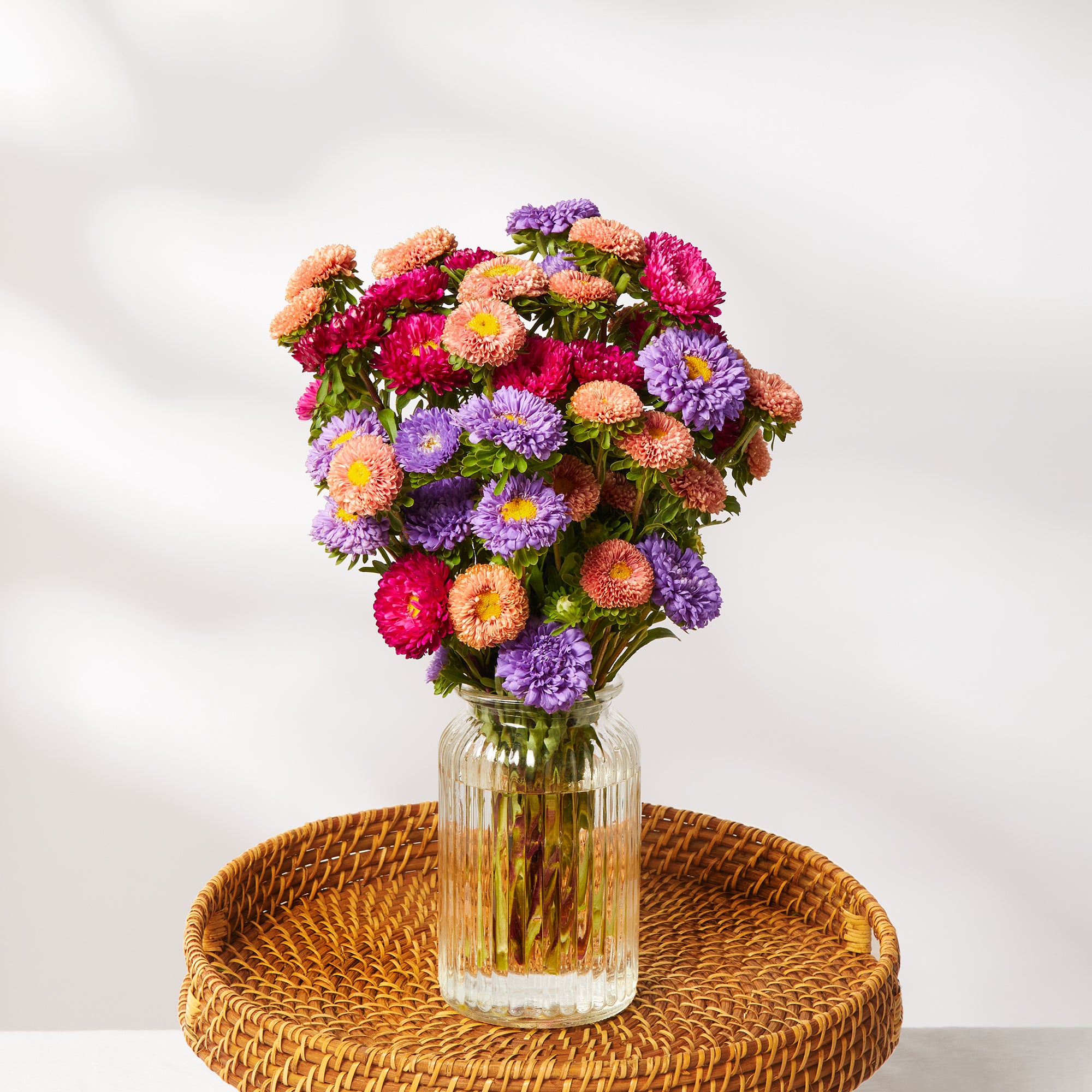 Mixed Asters