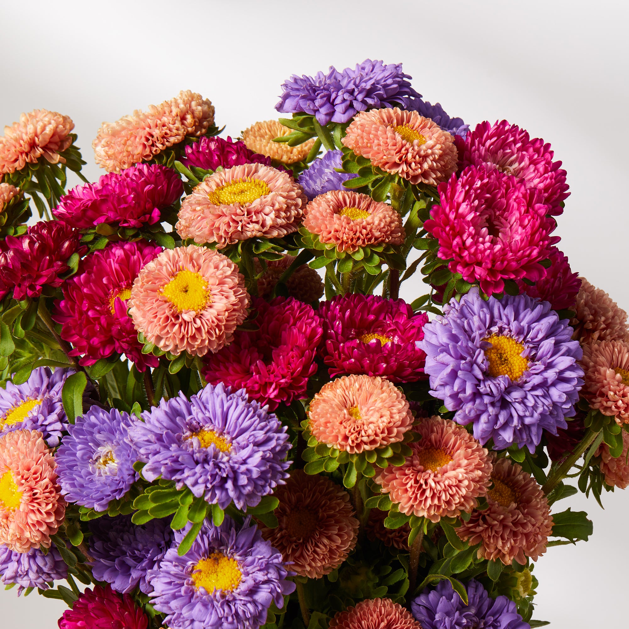 Mixed Asters