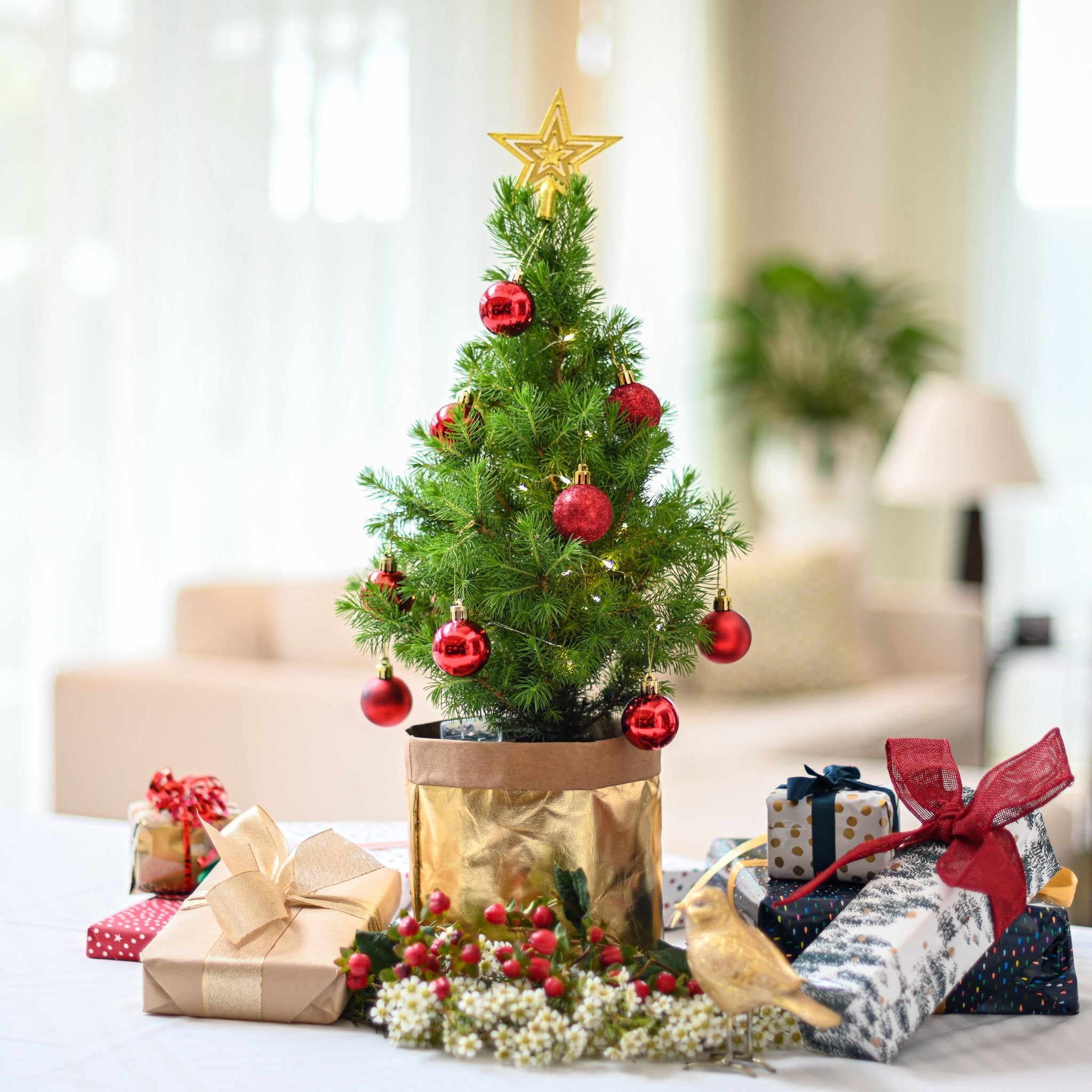 Floraly mini Christmas tree