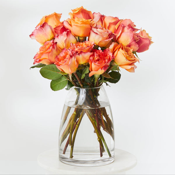 Orange Roses